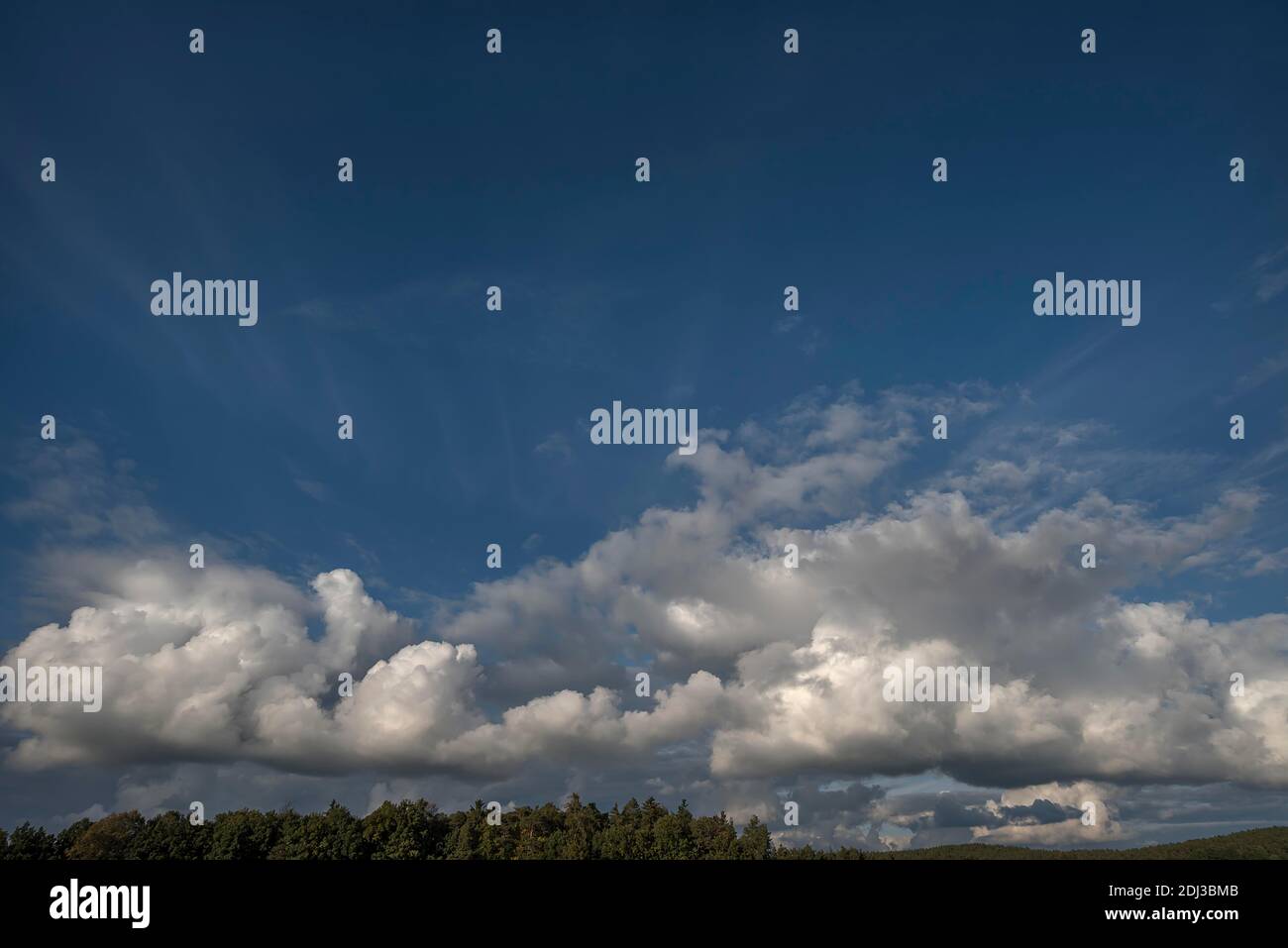 Cumulus nuvole (Cumulus), Baviera, Germania Foto Stock
