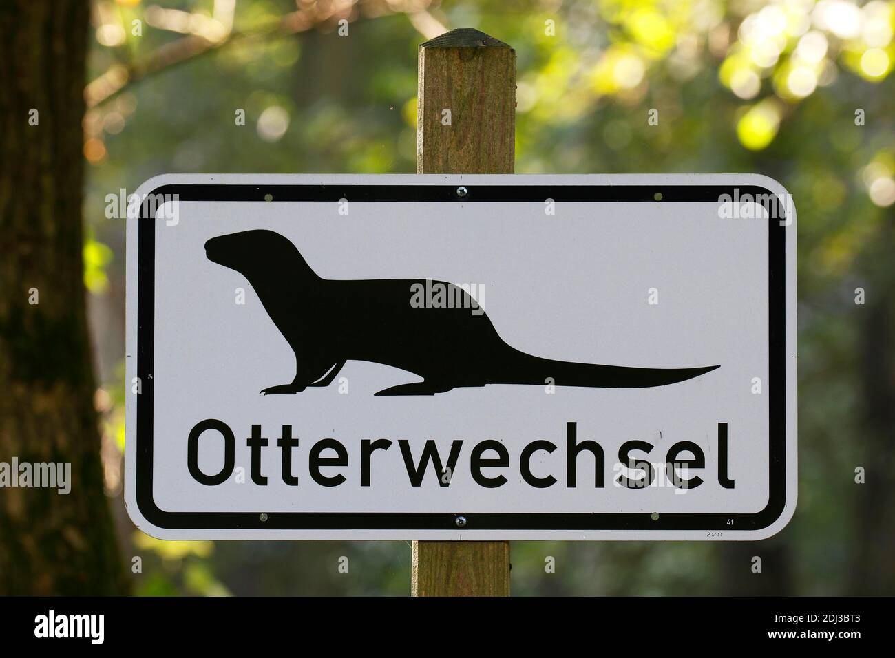 Cartello Otterwechsel, Otter (Lutra lutra) cambiare su una strada o un sentiero, Wildpark Eekholt, Schleswig-Holstein, Germania Foto Stock