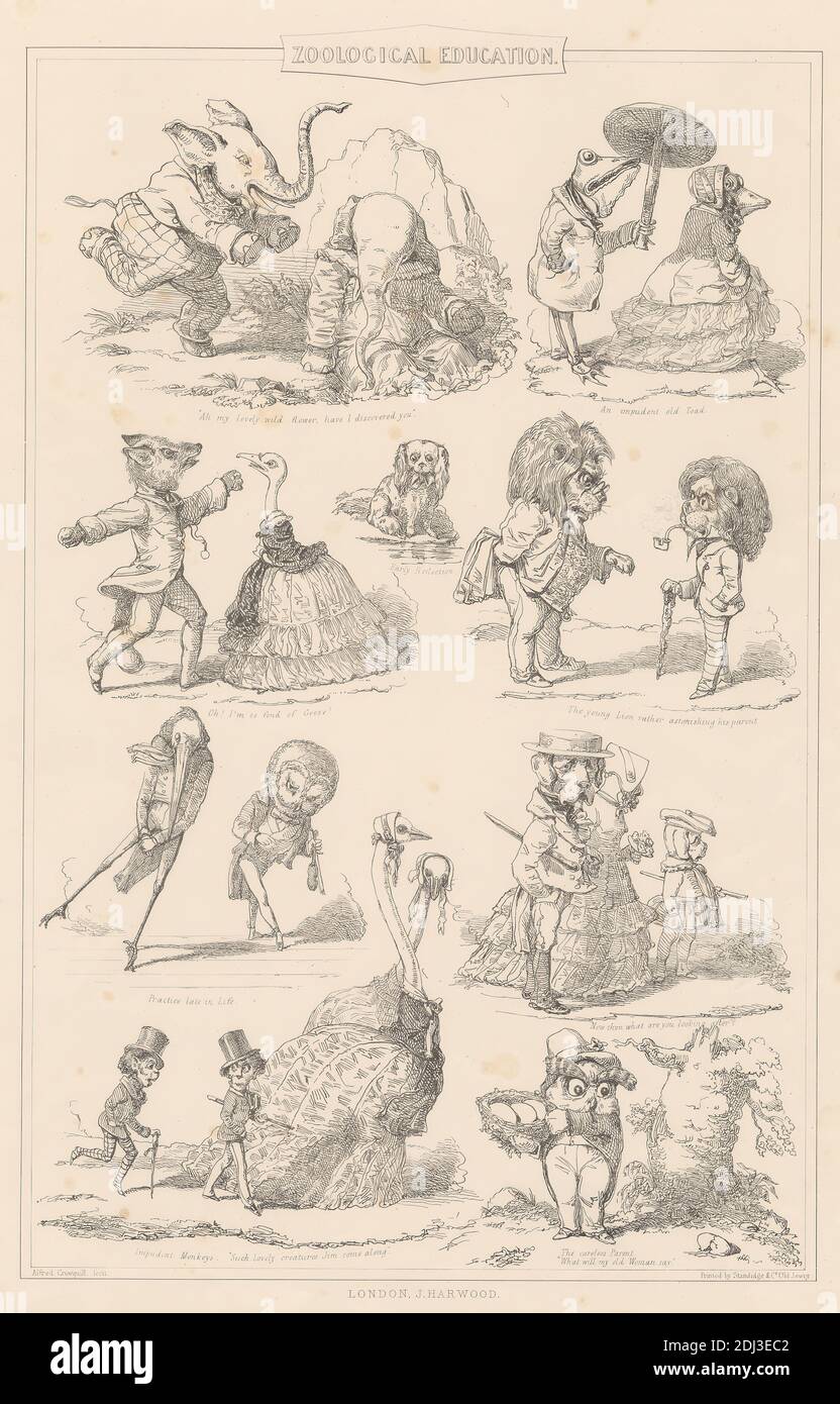 Educazione zoologica, Stampa realizzata da Alfred Henry Forrester, 1804–1872, inglese, dopo Alfred Henry Forrester, 1804–1872, inglese, stampato da Standidge & Co, attivo 1836–1849, inglese, pubblicato da J & F Harwood, 1820–1844, inglese, non datato, litografia su carta wove di spessore moderato, liscia, beige, foglio: 17 3/4 x 12 15/16 pollici (45.1 x 32.8 cm) e immagine: 14 1/8 x 9 1/8 pollici (35.9 x 23.1 cm), canne, cani (animali), abiti, uova, elefanti (animali), volpi (animali), rane (animali), oche, soggetto di genere, cappelli, aironi, illustrazioni, imparare, leoni, scimmie, gufi, parasoli, satira, scienza Foto Stock