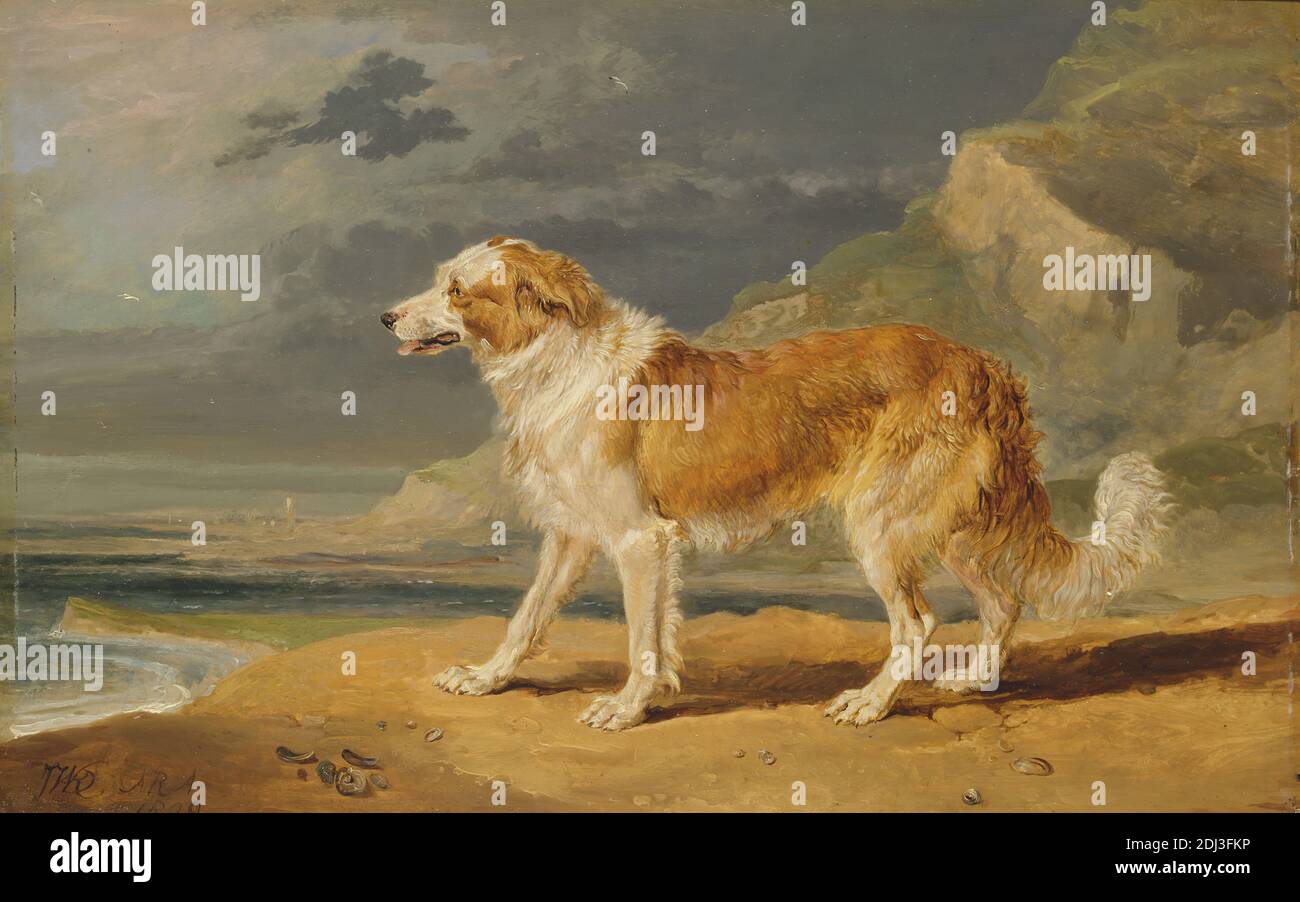 Ruvido-rivestito Collie, James Ward, 1769–1859, britannico, 1809, olio a bordo, supporto (PTG): 10 x 16 pollici (25.4 x 40.6 cm), arte animale, spiaggia, cane (animale), colline, paesaggio, mare, conchiglie, riva (forma di terra Foto Stock