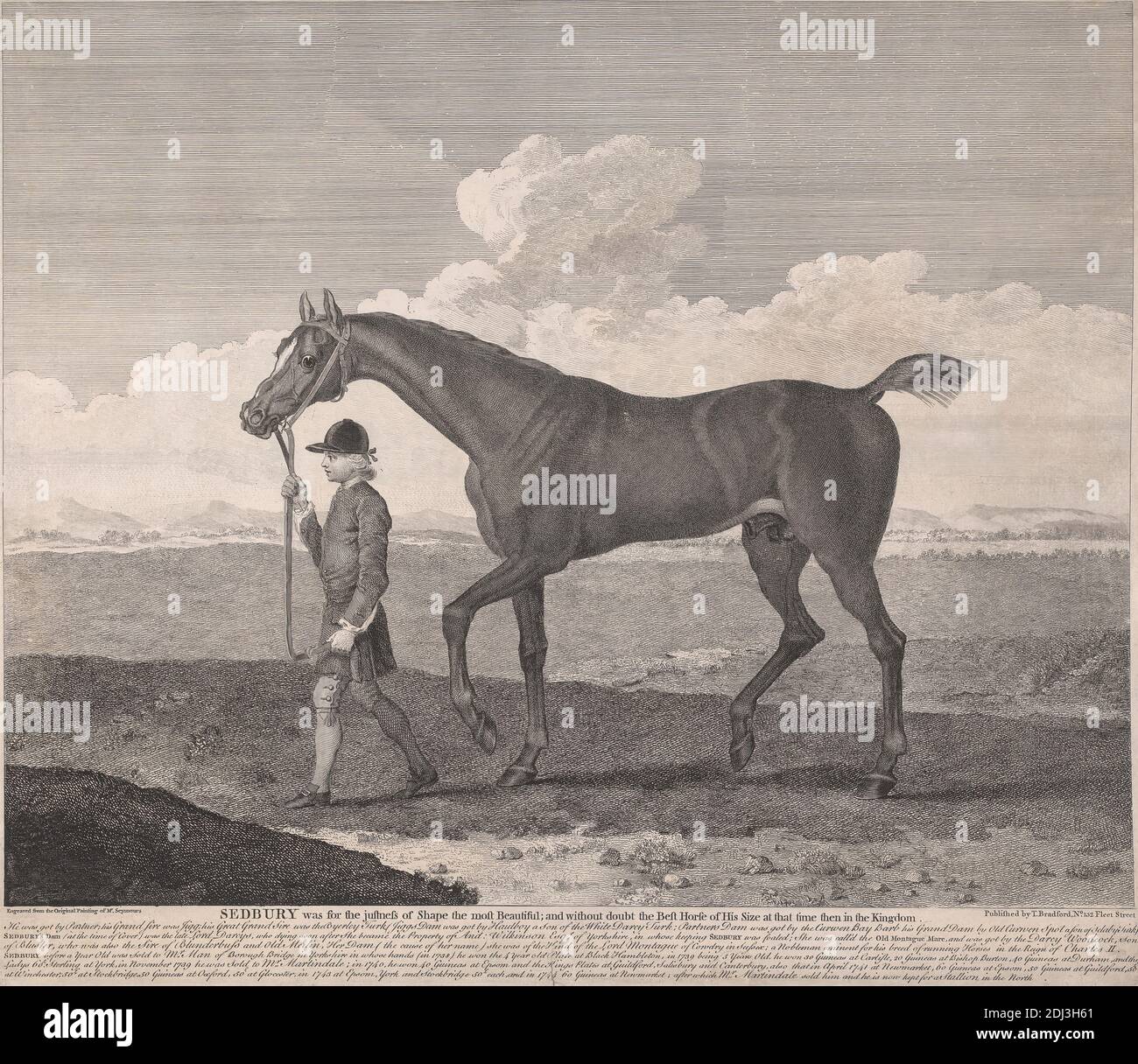 Racing: Sedbury era per la giusta forma il più bello e ...il miglior Cavallo della sua taglia a quel tempo, James Seymour, 1702–1752, British, c.. 1745, incisione, foglio: 14 1/4 x 17 3/4" (36.2 x 45,1 cm Foto Stock