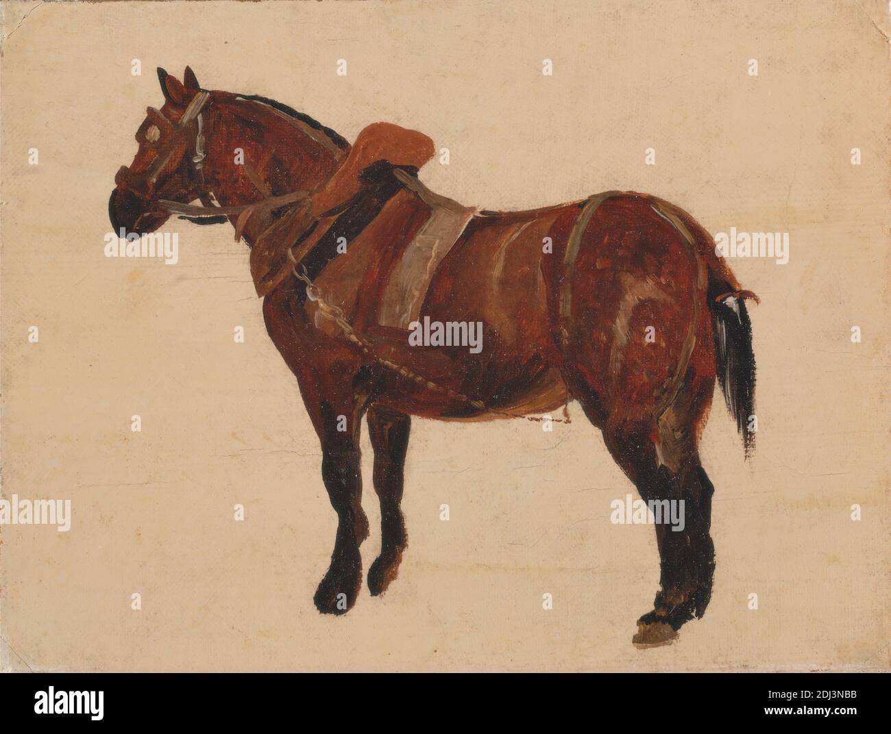 Studio di un cavallo di lavoro, Thomas Sidney Cooper, 1803–1902, britannico, non datato, olio su tela, supporto (PTG): 5 15/16 x 7 15/16 pollici (15.1 x 20.2 cm), briglia, equestre, cavallo (animale), arte sportiva, studio (lavoro visivo), tack Foto Stock