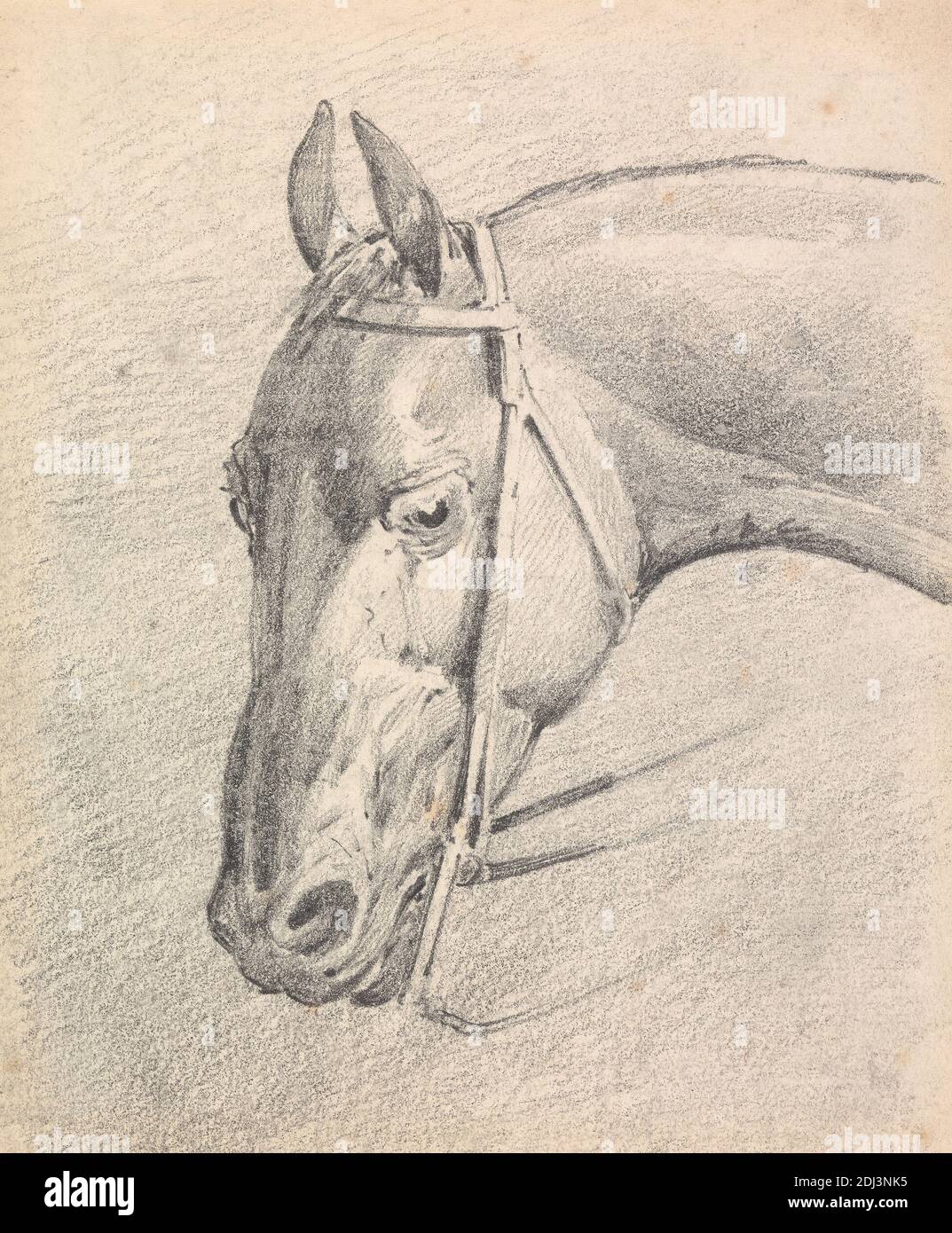 Testa di un cavallo che indossa una briglia, Henry Thomas Alken, 1785–1851, inglese, non satinato, grafite su media, moderatamente testurizzata, crema, carta di wove, foglio: 5 5/8 × 4 3/4 pollici (14.3 × 12.1 cm), arte animale Foto Stock