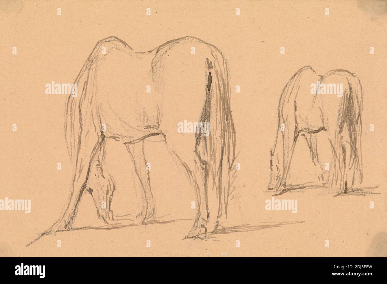 Alimentazione di due cavalli: Ognuno visto tre quarti dal retro, rivolto a sinistra, George Jones, 1786–1869, britannico, non satinato, penna, in inchiostro marrone, e grafite su medio, leggermente testurizzato, marrone chiaro, carta wove, foglio: 3 1/4 × 4 7/8 pollici (8.3 × 12.4 cm), arte animale Foto Stock