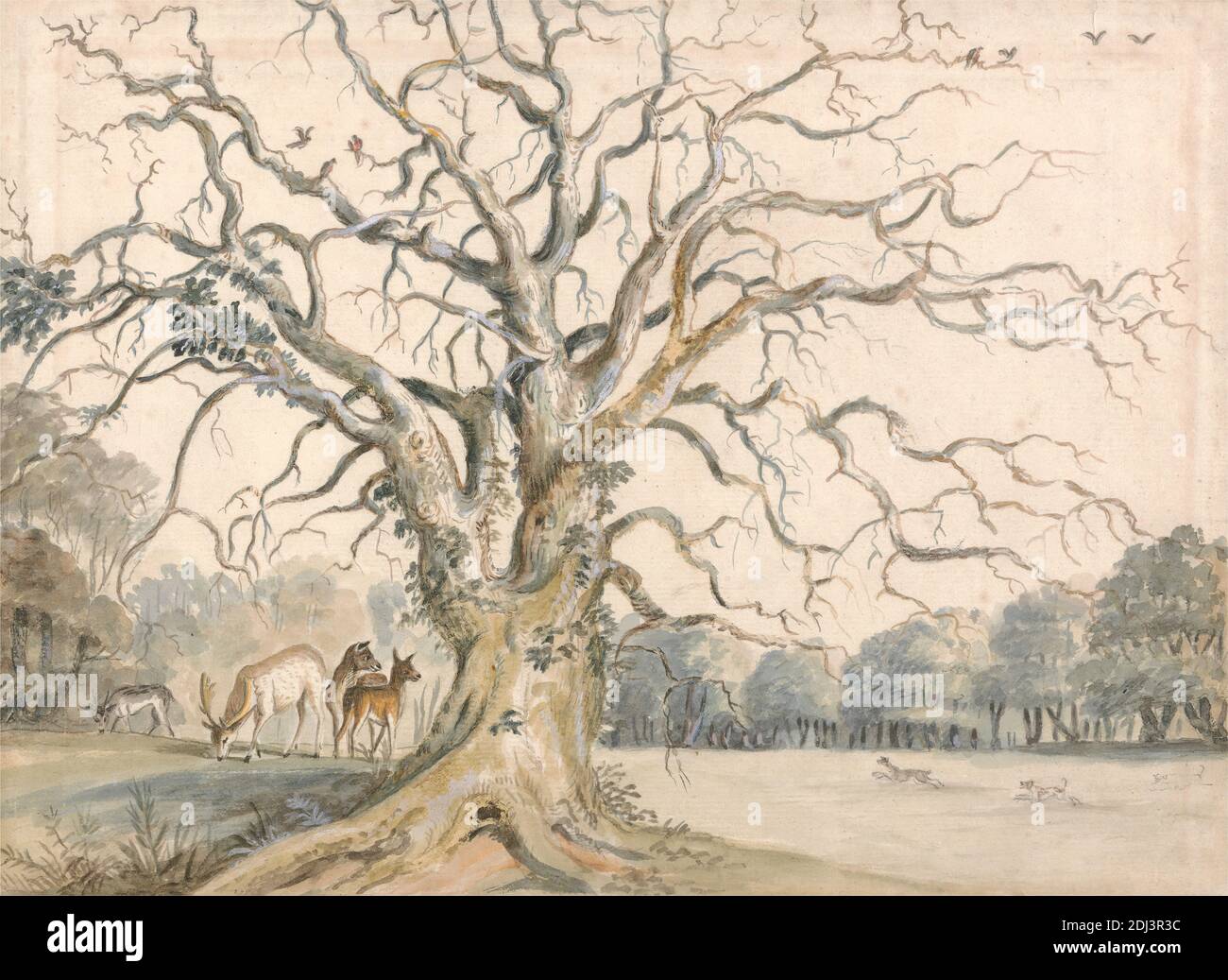 Vista di un parco con Deer, William Byron, quarto barone Byron, 1669–1736, inglese, non satinato, acquerello, con penna, in inchiostro marrone, grafite, gouache e oro su un terreno, leggermente testurizzato, crema, carta defilata, montato su, moderatamente spesso, leggermente testurizzato, crema, carta defilata, supporto: 12 1/2 × 16 1/16 pollici (31.8 × 40.8 cm), Contemporary Drawn border: 9 13/16 × 12 13/16 pollici (24.9 × 32.5 cm), e foglio: 7 3/4 × 10 11/16 pollici (19.7 × 27.1 cm), cervo, paesaggio, parco (terreni), radici, albero Foto Stock