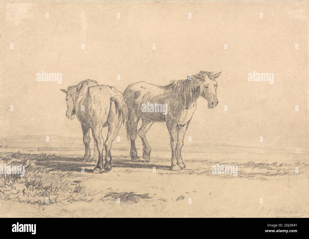Due vecchi cavalli in piedi in un campo, John Sell Cotman, 1782–1842, britannico, non satinato, grafite su medio, moderatamente testurizzato, beige, carta wove, foglio: 8 1/2 × 12 1/16 pollici (21.6 × 30.6 cm), campo, cavalli (animali), paesaggio Foto Stock