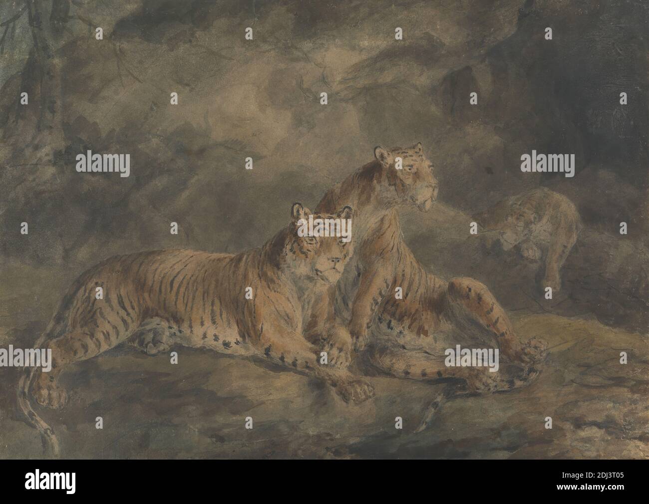 Three Tigers in a Rocky Landscape, Sawrey Gilpin, 1733–1807, inglese, non satinato, acquerello e grafite su moderatamente spessi, moderatamente testurizzati, beige, carta wove, foglio: 12 11/16 × 17 13/16 pollici (32.2 × 45.2 cm), arte animale Foto Stock