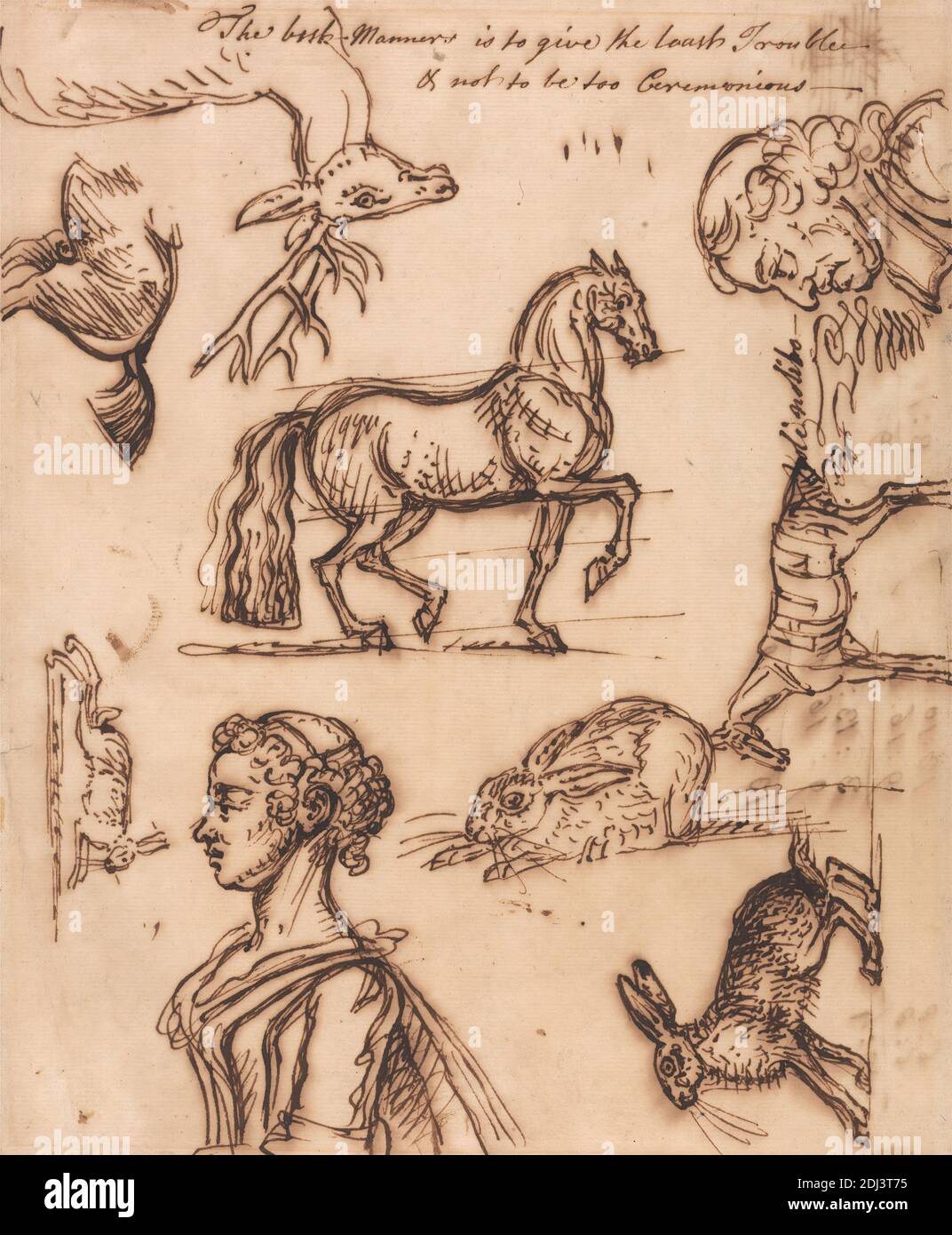 Schizzi di lepre, Cavallo, Stag, uomo e donna, James Seymour, 1702–1752, inglese, non satinato, penna, in inchiostro marrone su medio, leggermente testurizzato, beige, carta posata, montaggio: 11 1/4 × 9 11/16 pollici (28.6 × 24.6 cm), Contemporaneo bordo disegnato: 10 5/16 × 8 9/16 pollici (26.2 × 21.7 cm), e foglio: 9 13/16 × 8 1/16 pollici (24.9 × 20.5 cm), arte animale, studio della figura, soggetto del genere, lepre, cavallo (animale), uomo, profilo (disegno ortografico), schizzi, stag, donna Foto Stock