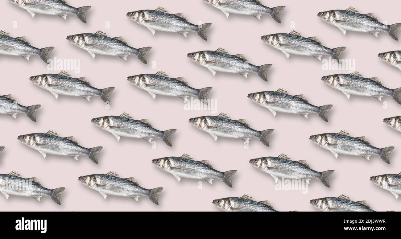 Motivo colorato di pesce su sfondo rosa pastello. Concetto creativo minimo. Disposizione piatta. Illustrazione vettoriale. Foto Stock