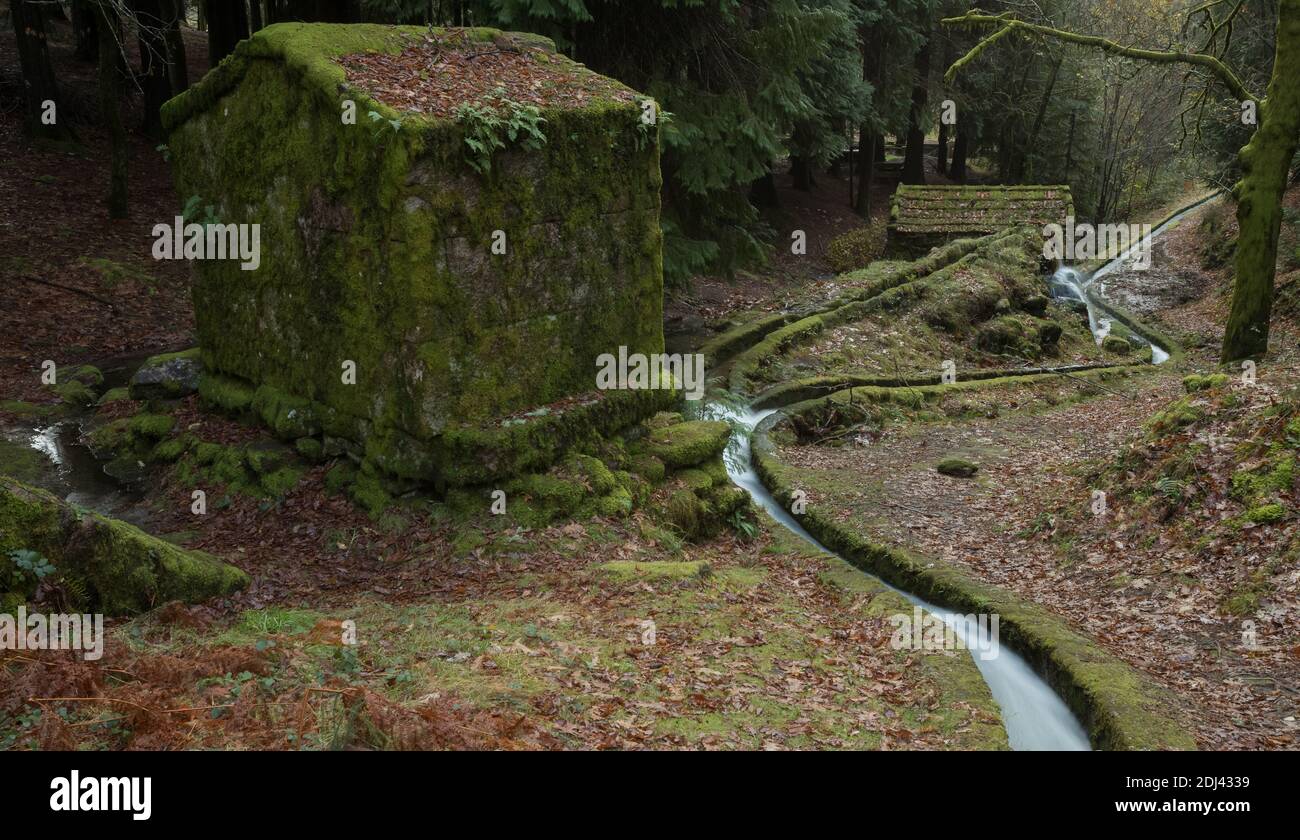 Mulini ad acqua ricoperti di muschio e un piccolo canale d'acqua a Moinhos de Rei, Cabeceiras de basso, Portogallo Foto Stock
