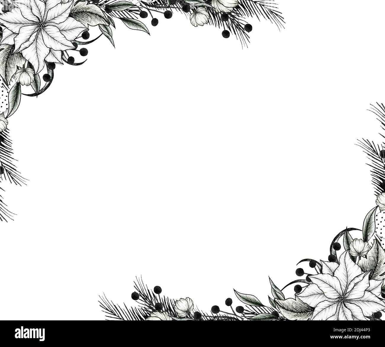 Carta d'epoca natalizia, cornice floreale invernale disegnata a mano con fiori di poinsettia e rami di abete per le carte di Natale, i saluti o gli inviti Foto Stock