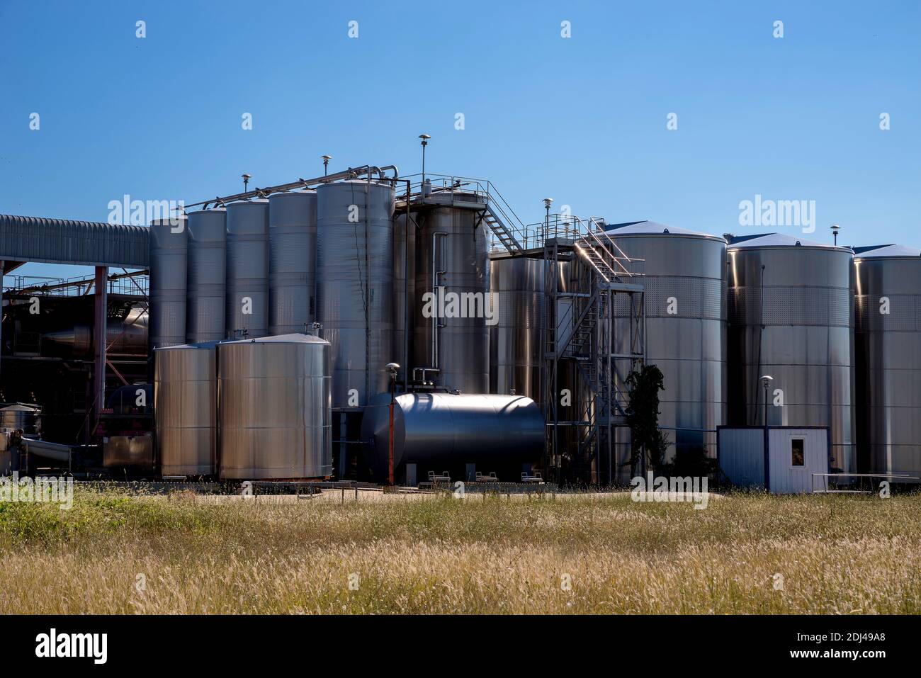 Serbatoi di vinificazione verticali. Foto Stock