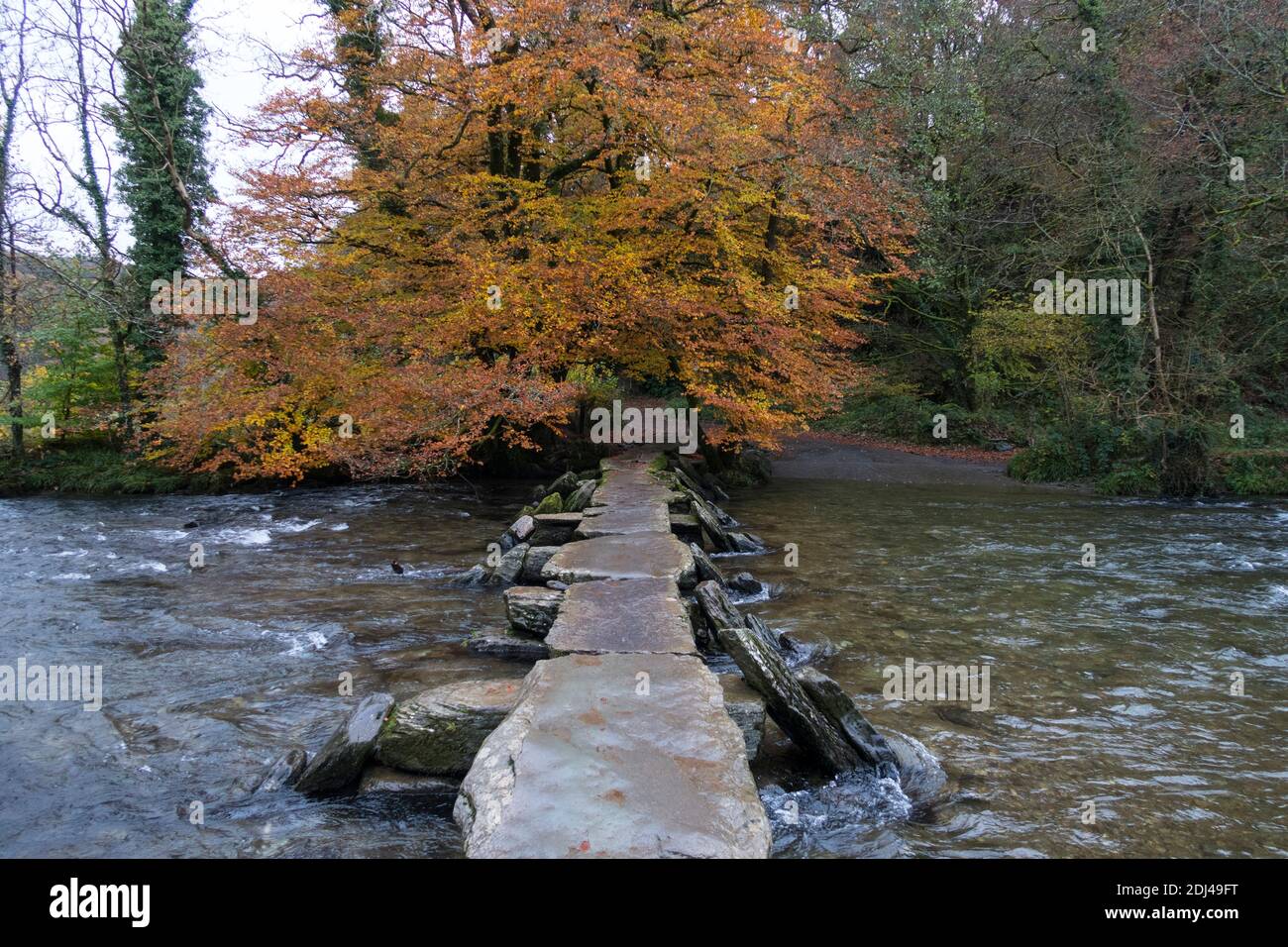 Tarr Steps Exmoor National Park, antico ponte di pietra vicino a Withypool Somerset Foto Stock