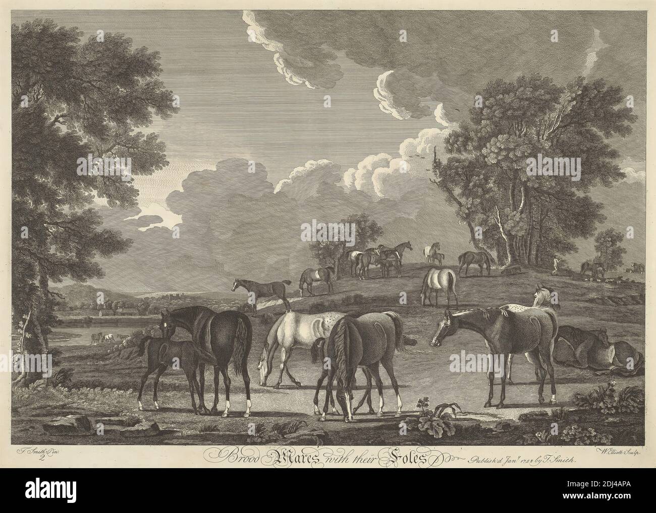 Set di sei corse ippiche: 2. Brood Mares con le loro foles, William Elliot, attivo 1774, morì 1792, inglese, dopo Thomas Smith di Derby, ca. 1720–1767, inglese, 1758, incisione, foglio: 15 3/8 x 21 3/8" (39.1 x 54,3 cm Foto Stock