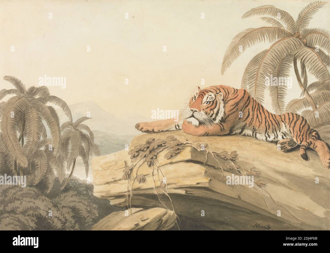 A Tiger Running: Il frontespizio per 'Oriental Field Sports', Samuel Howitt, 1756–1822, British, 1805, acquerello e grafite su carta media, leggermente testurizzata, crema di wove, foglio: 9 1/8 × 13 pollici (23.2 × 33 cm), arte animale, palme, riposo, rocce (landforms), tigre Foto Stock