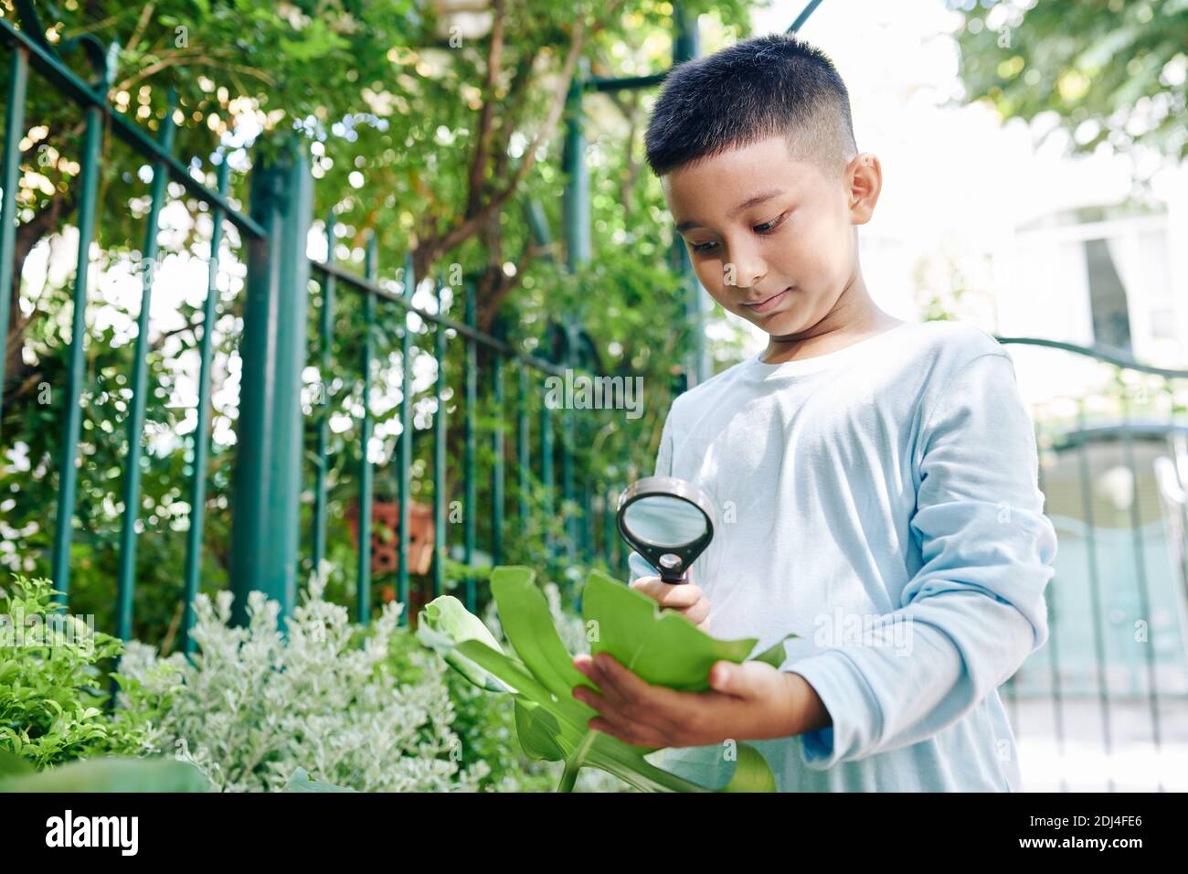 Ragazzo osservando la natura Foto Stock