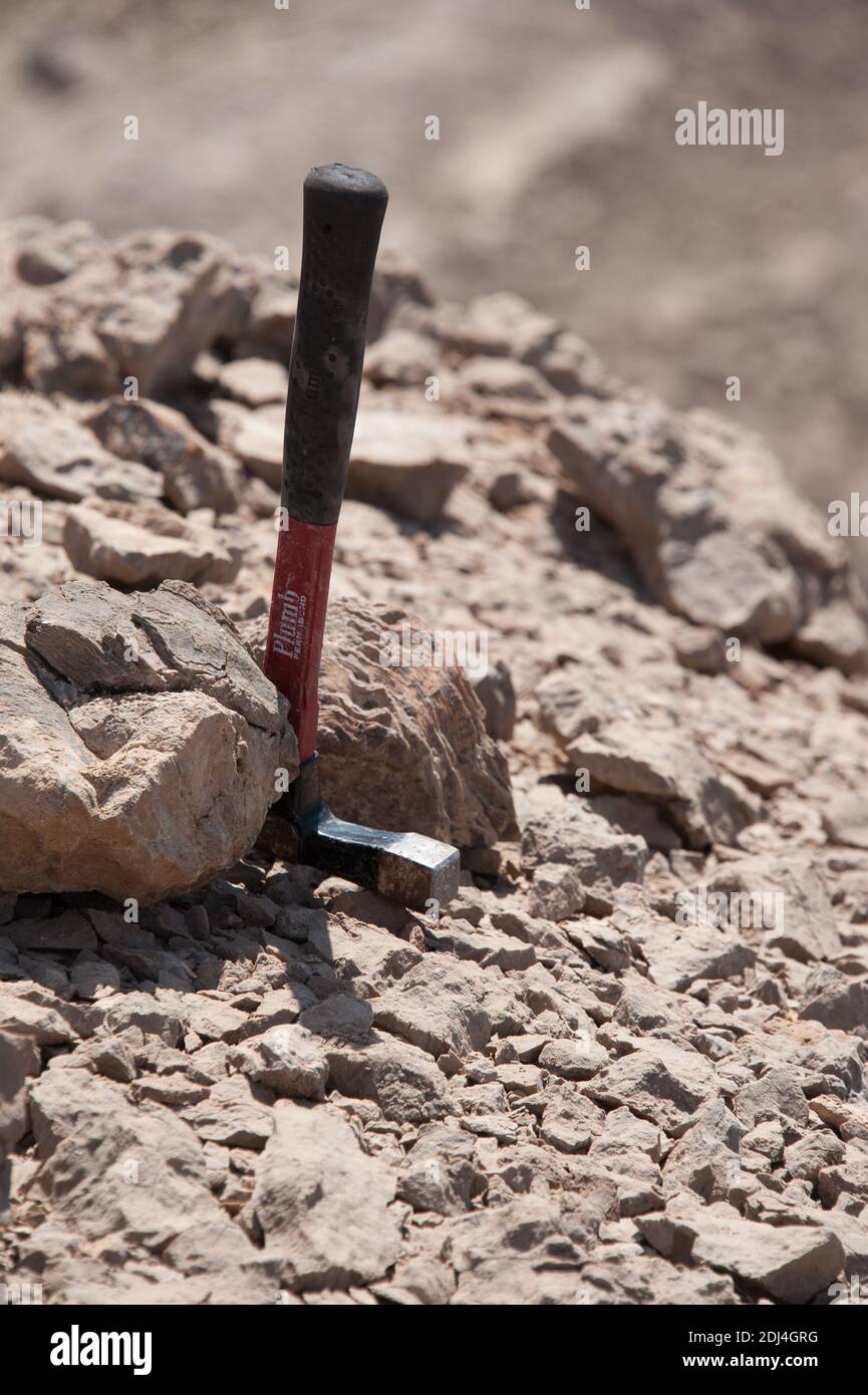 formazione di geologi per l'esplorazione petrolifera nelle montagne dell'oman Foto Stock