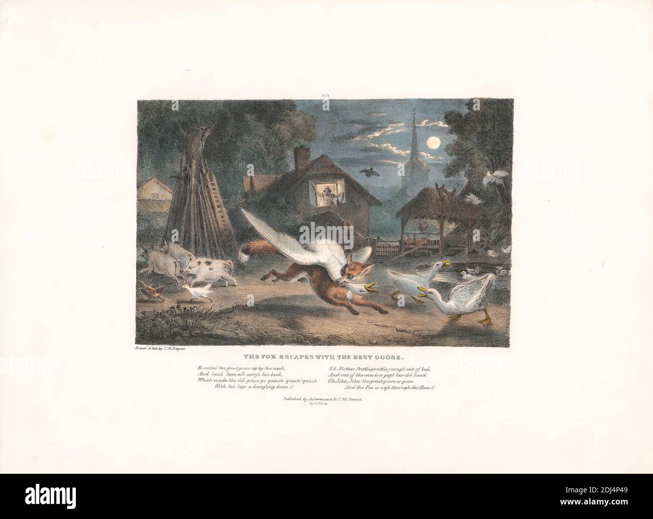 Set di sei con involucro stampato, plate 4: The Fox Escapes with Best Goose, Thomas Mann Baynes, 1794–1854, British, After Thomas Mann Baynes, 1794–1854, British, 1836, litografia colorata a mano, foglio: 5 7/8 x 8 3/4in. (14.9 x 22,2 cm Foto Stock