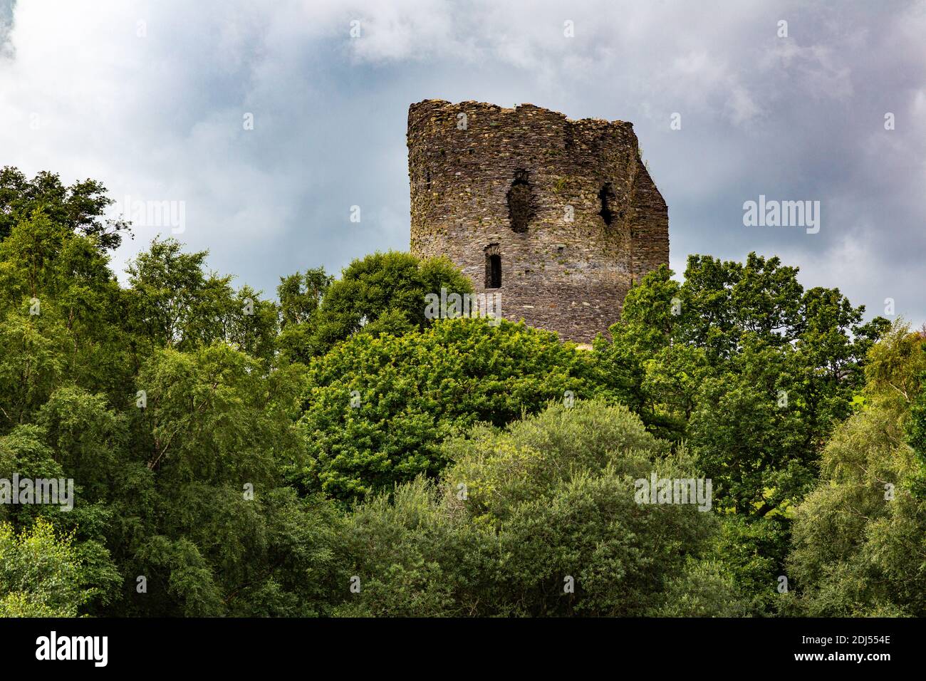 Dolbadarn Castle North Wales, che torreggia sopra una linea di alberi Foto Stock