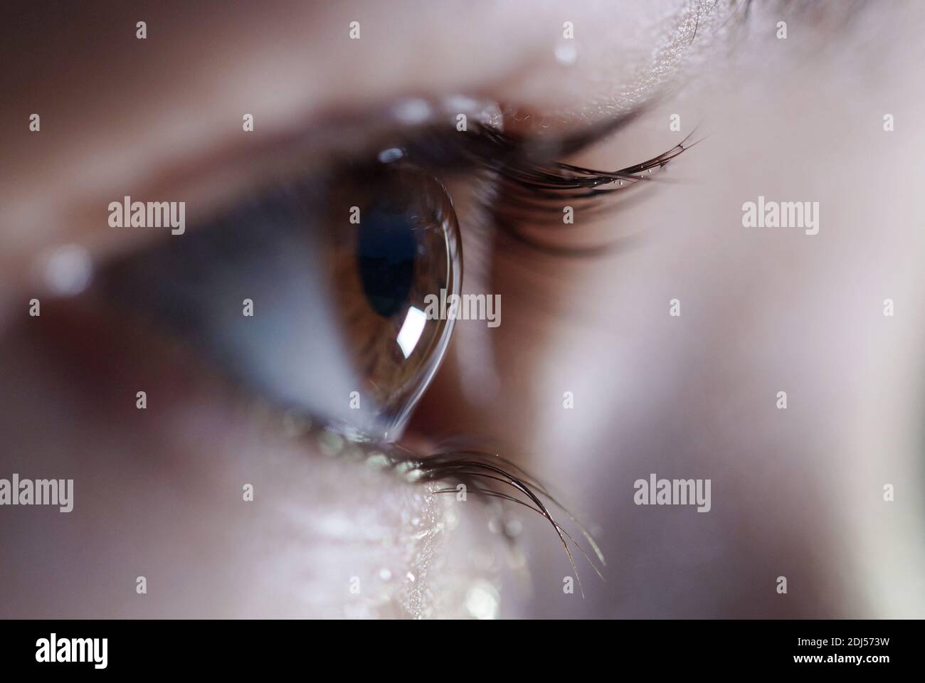 vista laterale dell'occhio marrone, occhi scintillanti aperti guardando in avanti, primo piano Foto Stock