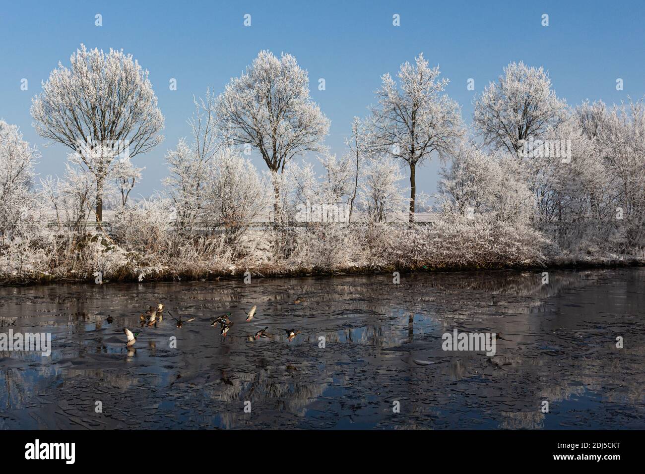 Una passeggiata invernale vicino al canale nel nord della Germania vicino Oldenburg Foto Stock
