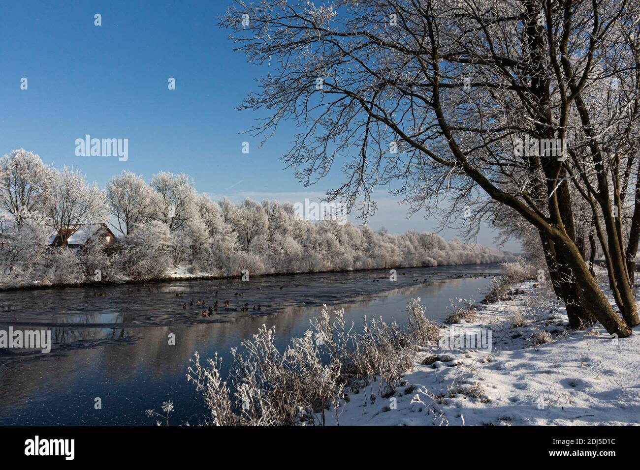 Una passeggiata invernale vicino al canale nel nord della Germania vicino Oldenburg Foto Stock