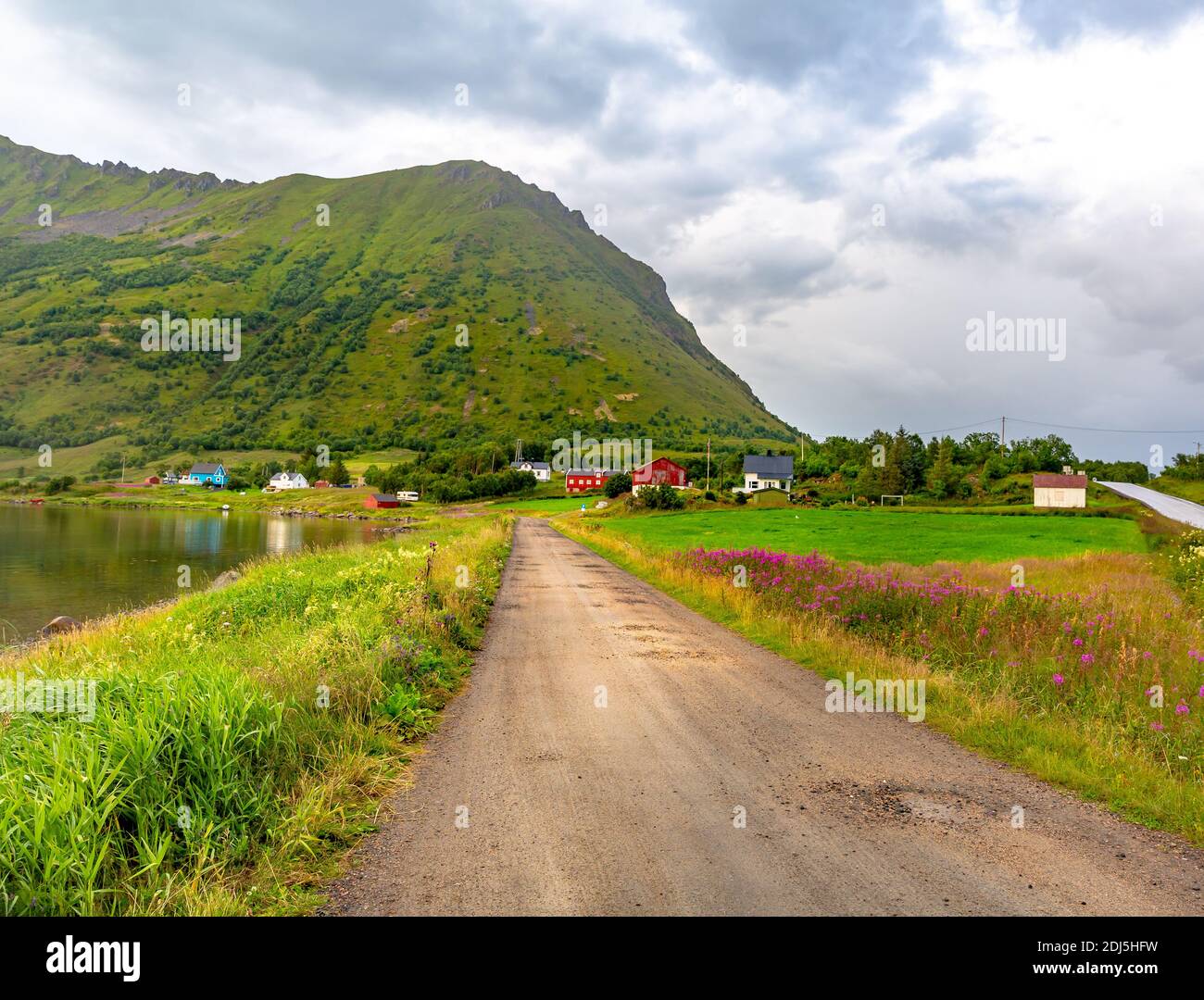 Lofoten Summer Landscape .Lofoten è un arcipelago della contea di Nordland, in Norvegia. È conosciuta per un paesaggio caratteristico con montagne spettacolari Foto Stock