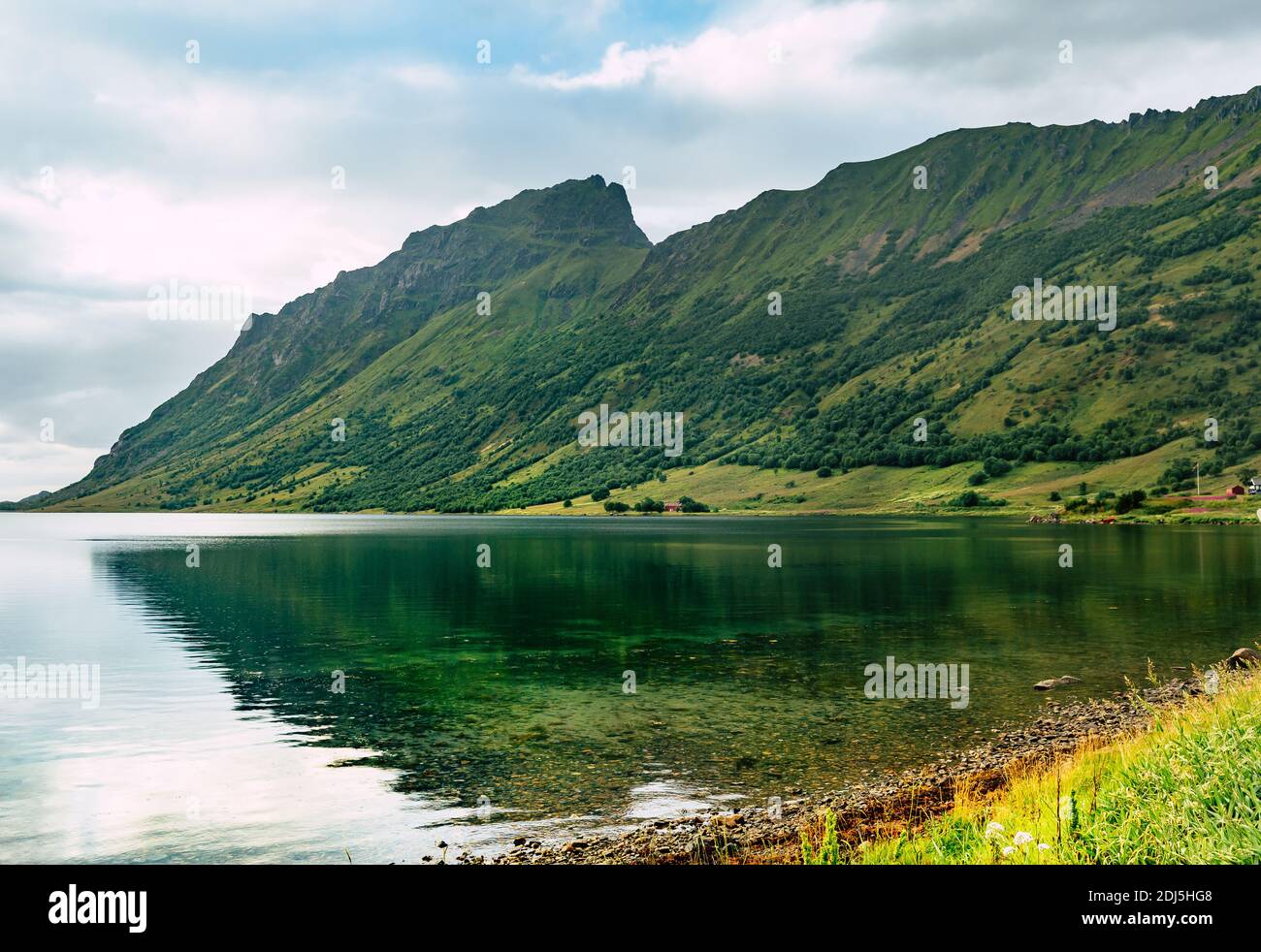 Norvegia paesaggio con fiordo, montagne, foresta a Lofoten, Norvegia Foto Stock