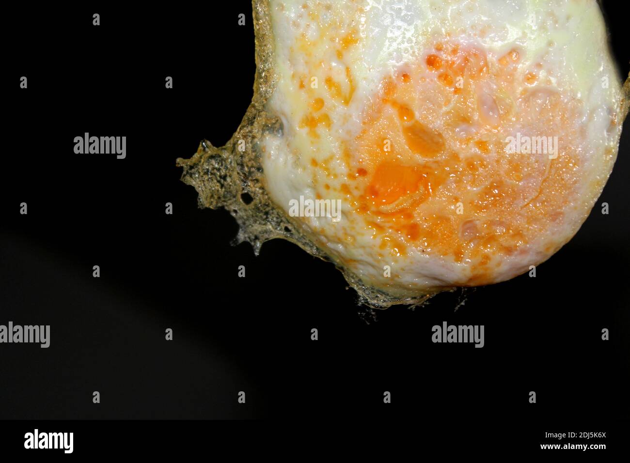 All'uovo secca Foto Stock