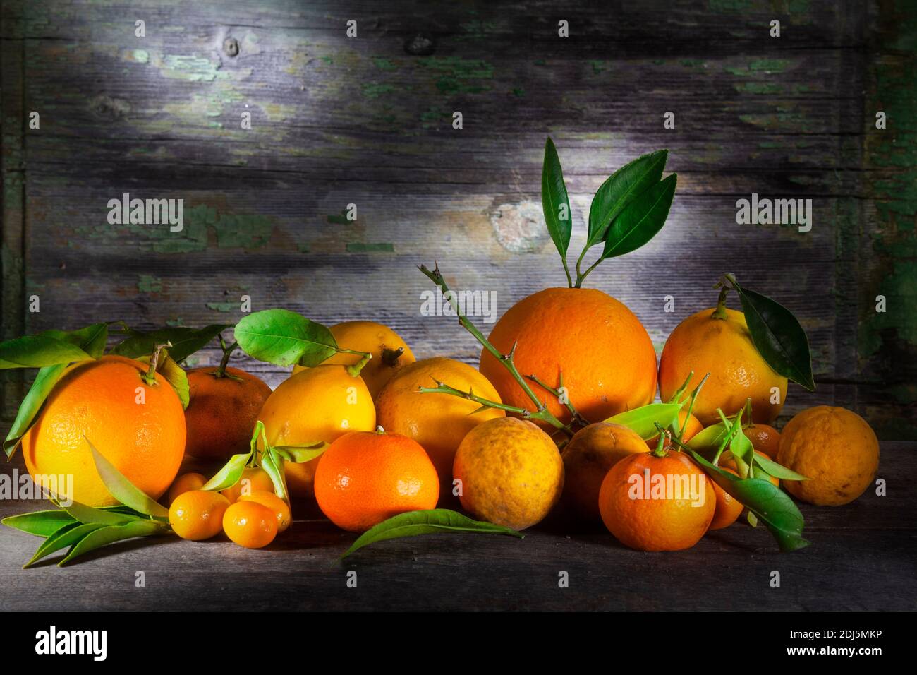 Foto di vita still di citruse in luce Sharp su scaffale. Limone, Citrus, Tachibana, Kumquat, limoni, tangerini e Drago volante. Con fresco o essiccato Foto Stock