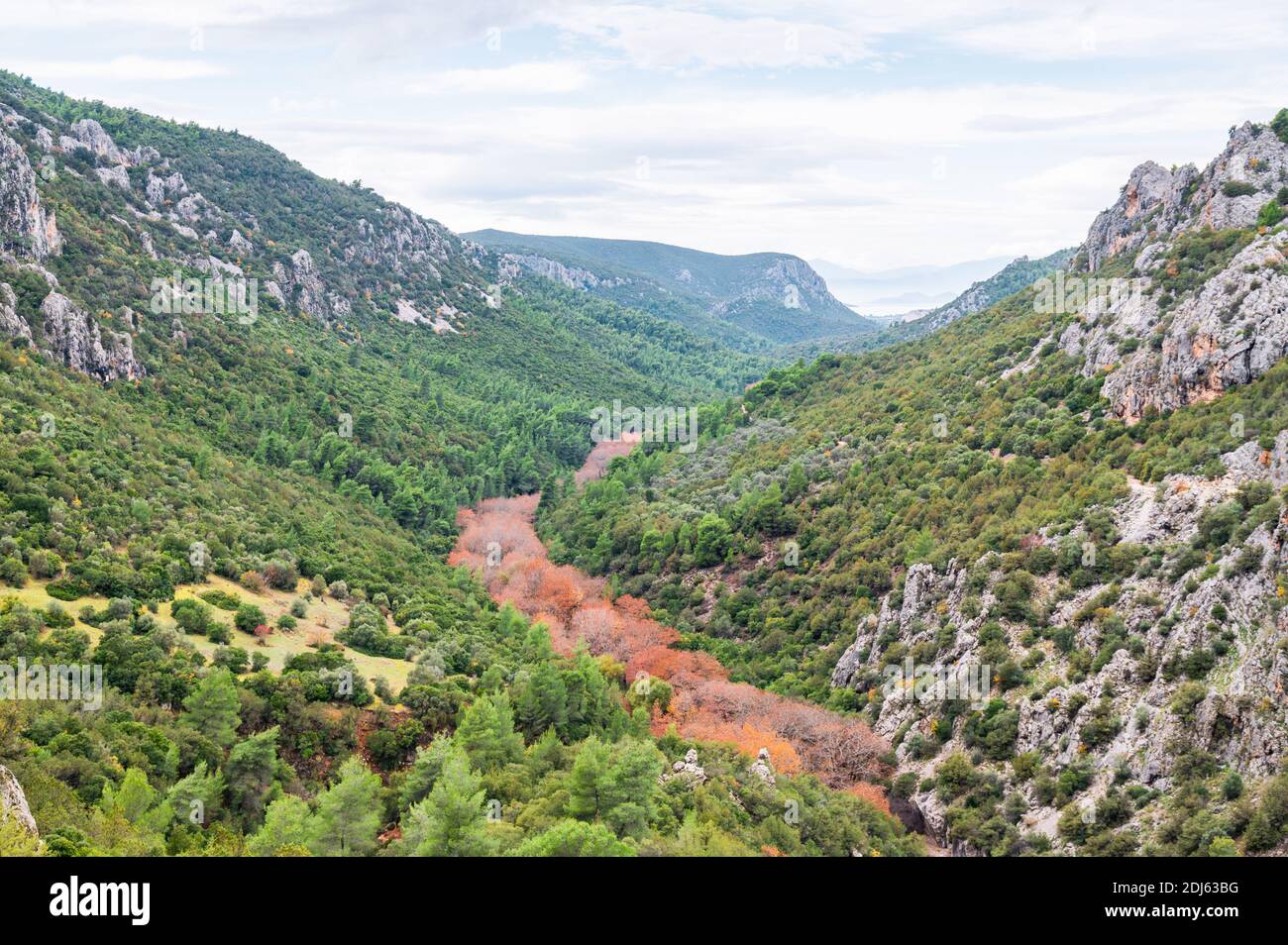 Valle con alberi verdi e una striscia di colore autunno uno Foto Stock