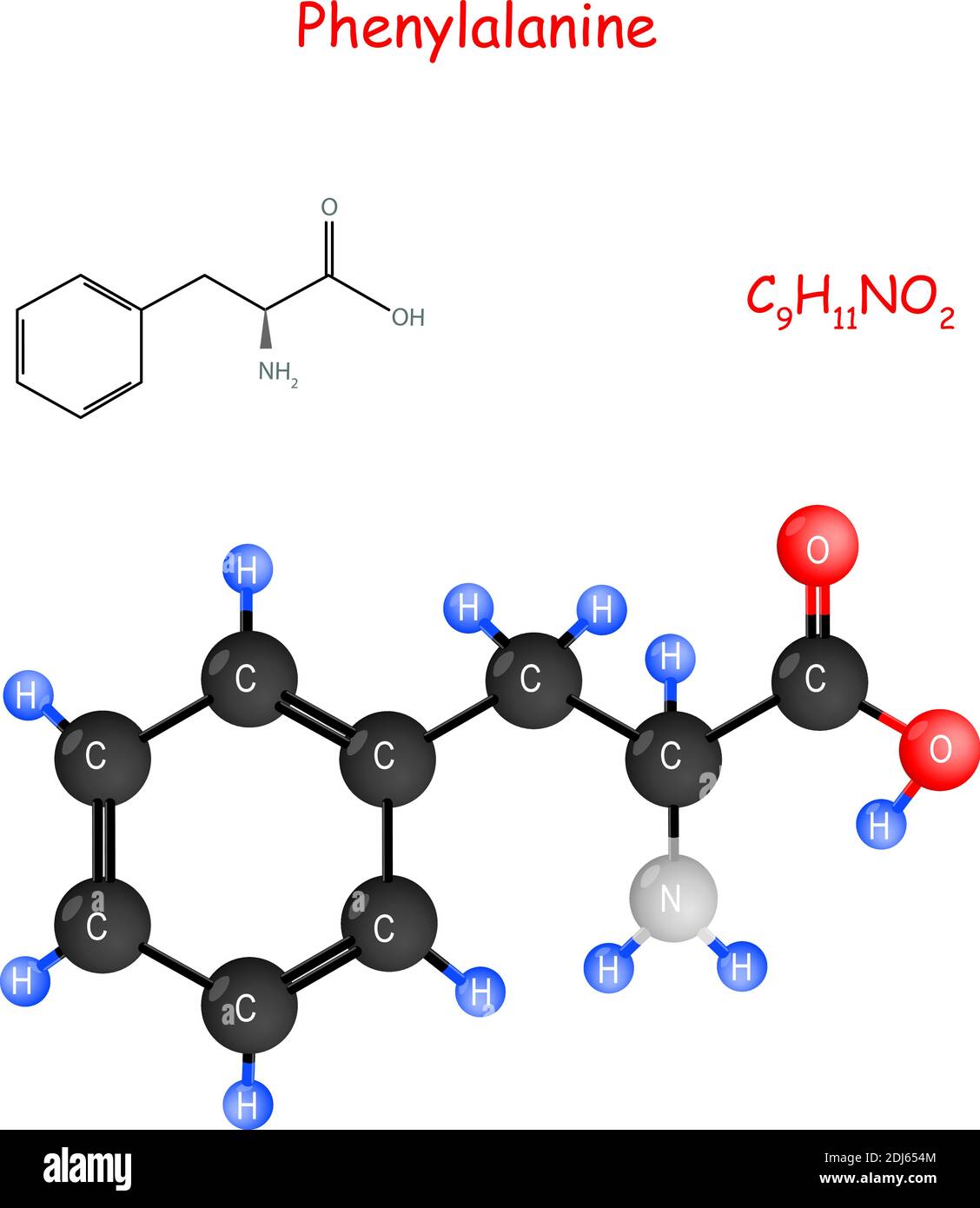 La fenilalanina è un aminoacido essenziale. Formula strutturale chimica e modello della molecola C9H11NO2. Illustrazione vettoriale per uso medico-educativo Illustrazione Vettoriale
