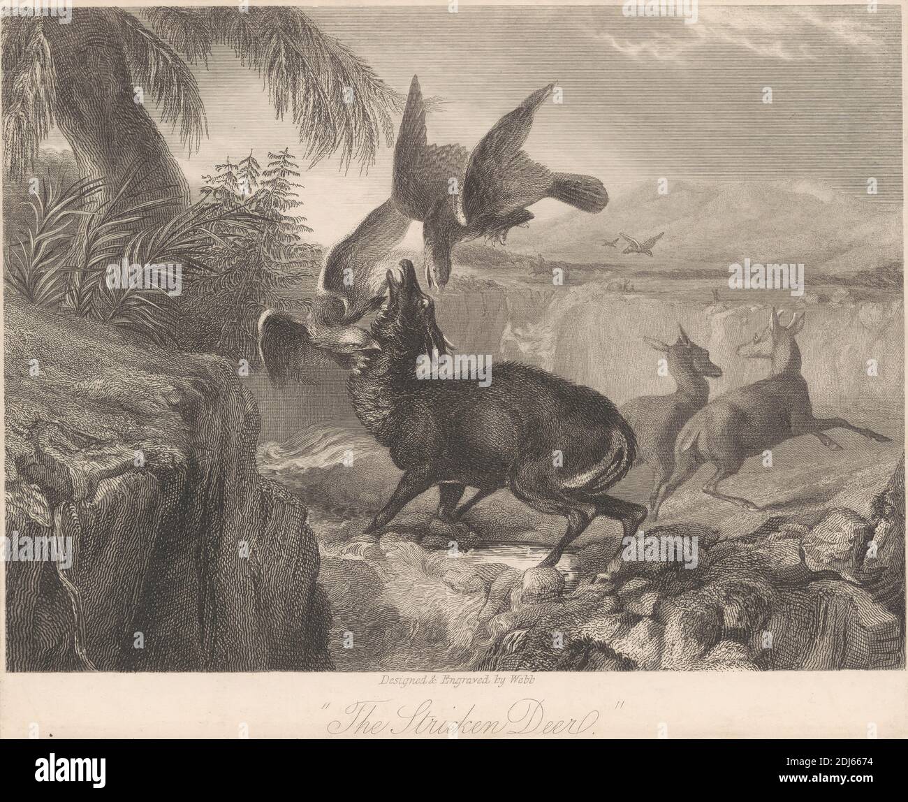 The Stricked Deer, Stampa realizzata da John Webb, attivo 1830–1840, ca. 1835, incisione e incisione di linee su carta media, leggermente testurizzata, color crema Foto Stock