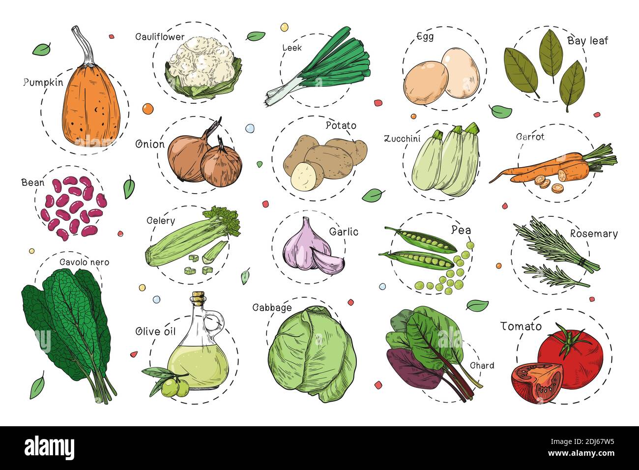 Schizzo di verdure diverse. Adesivi per ricette. Insieme di verdure isolate su sfondo bianco. Vettore Illustrazione Vettoriale