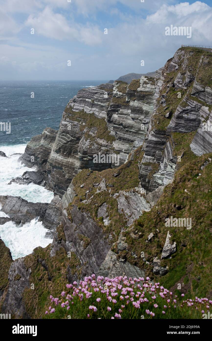 Le scogliere di Kerry, Portmagee, Skellig Ring, Irlanda, Grossbritannien / Großbritannien Foto Stock