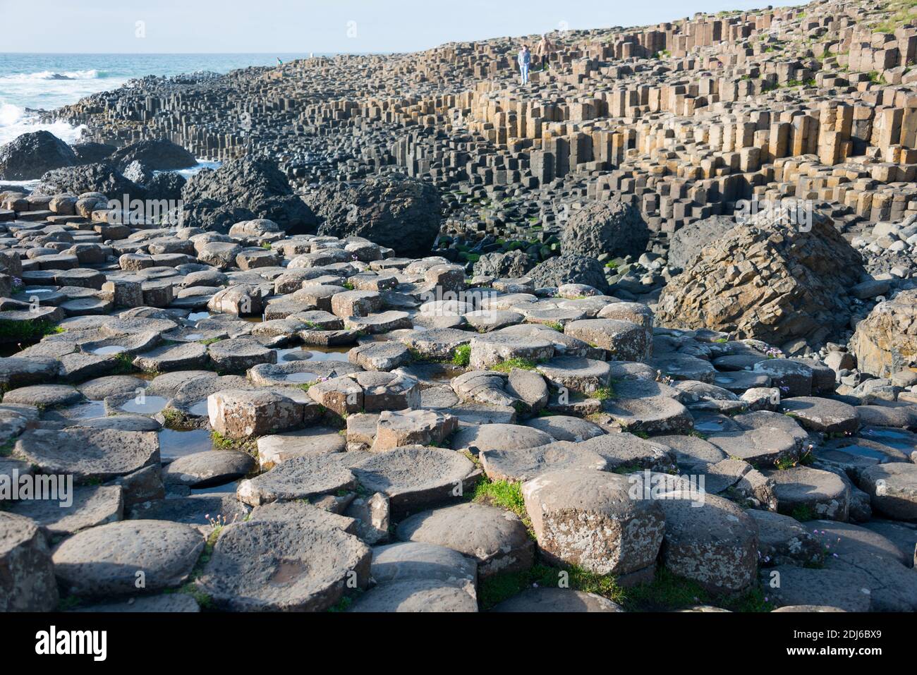 Giants Causeway, County Antrim, Nordirland, Grossbritannien , Basaltsaeulen, Foto Stock