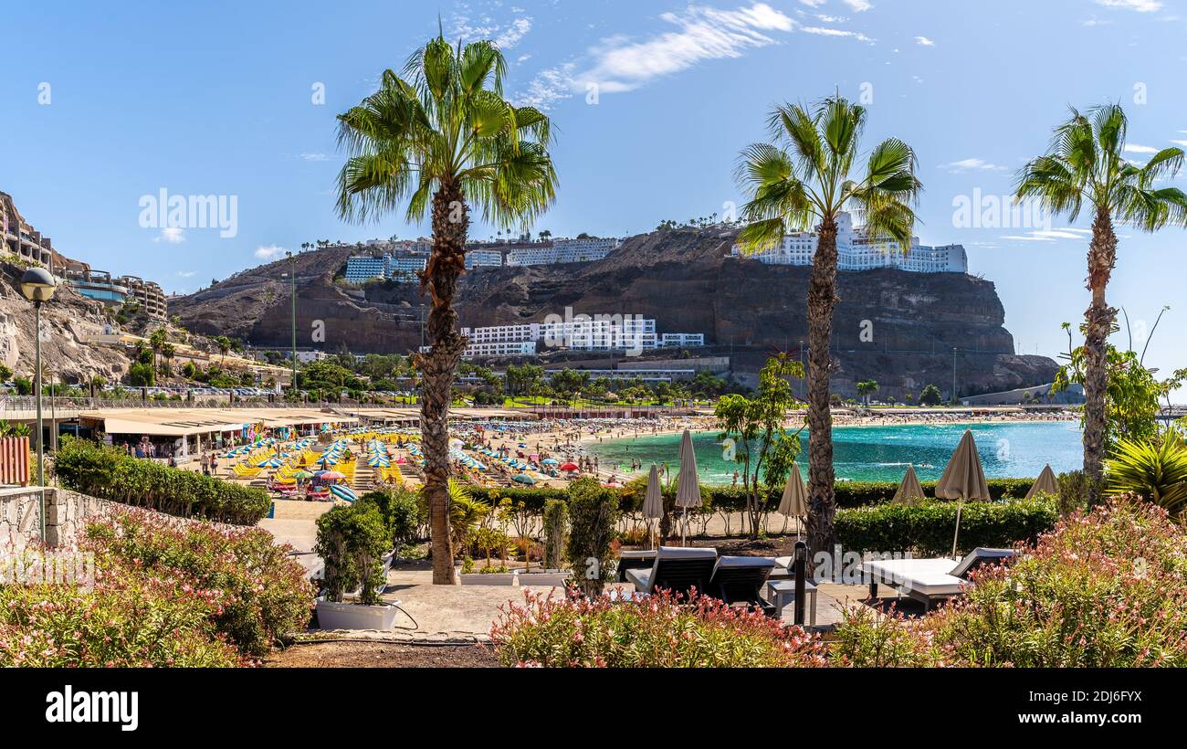 Paesaggio con spiaggia Amadores su Gran Canaria, Spagna Foto Stock