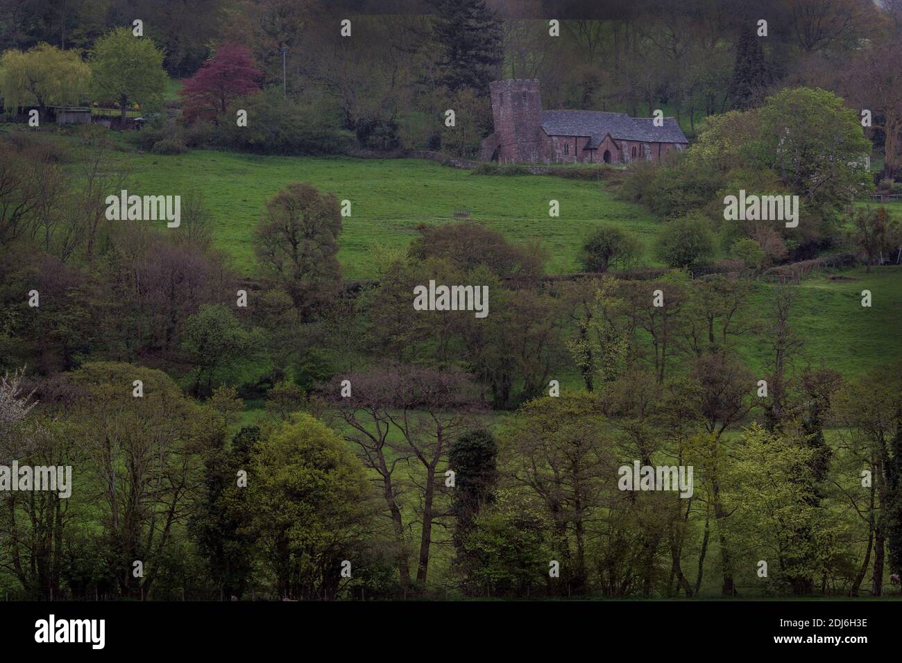 Area delle Black Mountains del Parco Nazionale di Brecon Beacons nel Monmouthshire, Galles del sud-est. Foto Stock