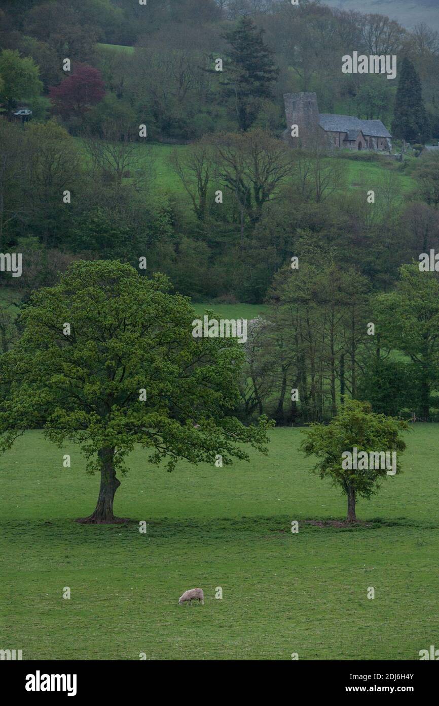 Area delle Black Mountains del Parco Nazionale di Brecon Beacons nel Monmouthshire, Galles del sud-est. Foto Stock