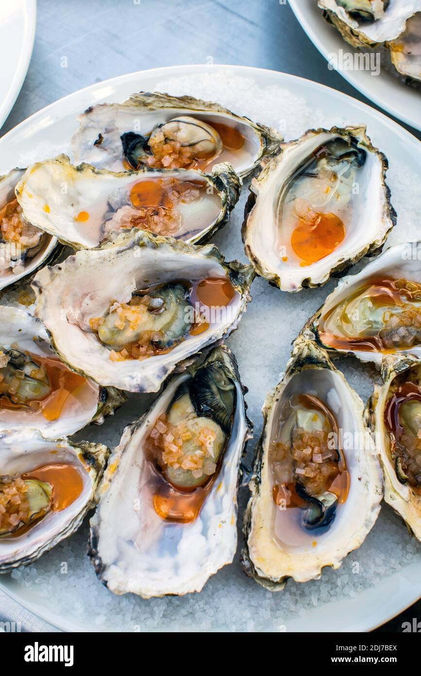 ostriche britanniche fresche servite su un piatto Foto Stock