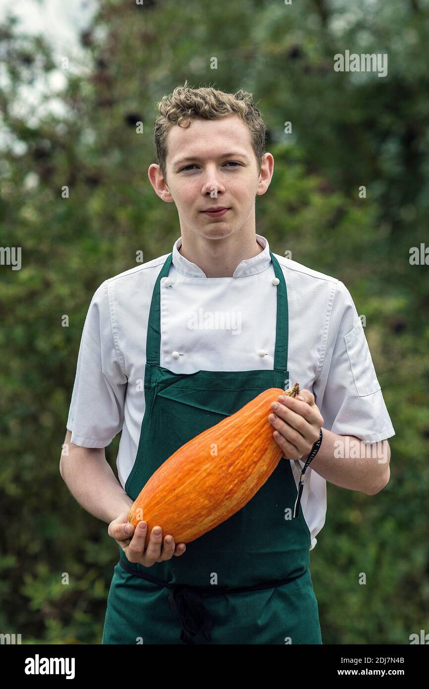 Giovane chef che tiene in mano la zucca fresca nell'Hertfordshire, Inghilterra, Gran Bretagna: Foto Stock