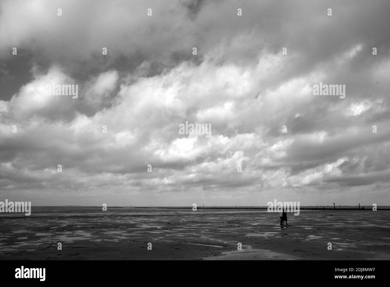 Un'immagine in scala di grigi della spiaggia di sabbia catturata durante il giorno in una giornata nuvolosa Foto Stock