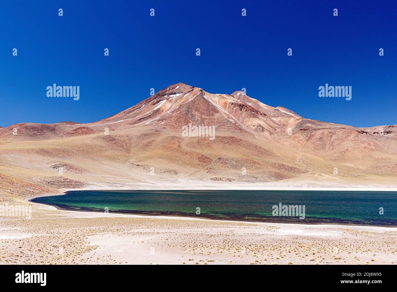 Laguna Miñiques, un lago salmastre ad un'altitudine di 4,120 metri nella zona vulcanica centrale andina, Cile. Foto Stock