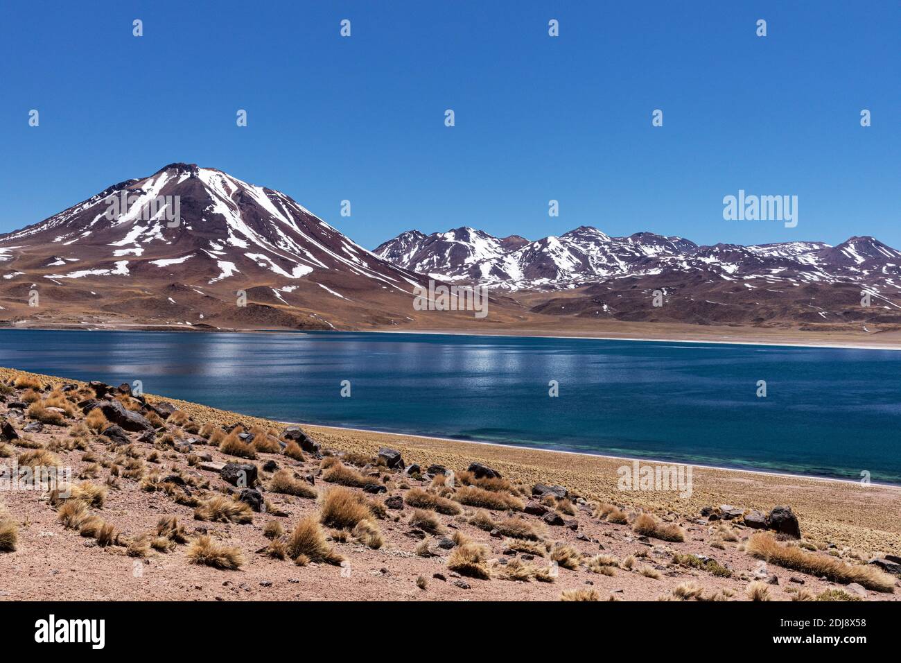 Laguna Miscanti, un lago salmastre ad un'altitudine di 4,140 metri nella zona vulcanica centrale andina, Cile. Foto Stock