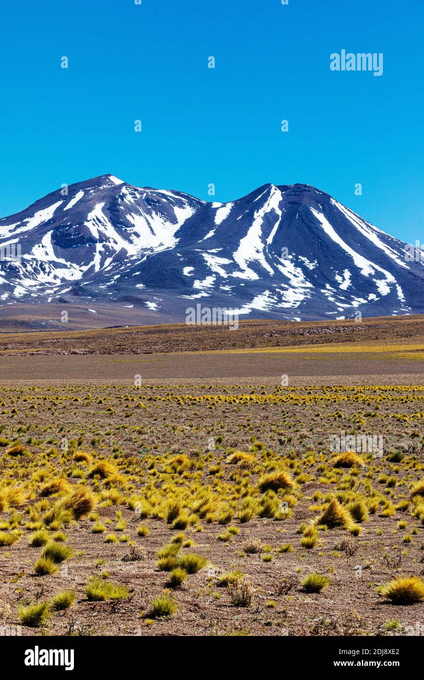 Stratovulcani nella zona vulcanica centrale andina, regione Antofagasta, Cile. Foto Stock