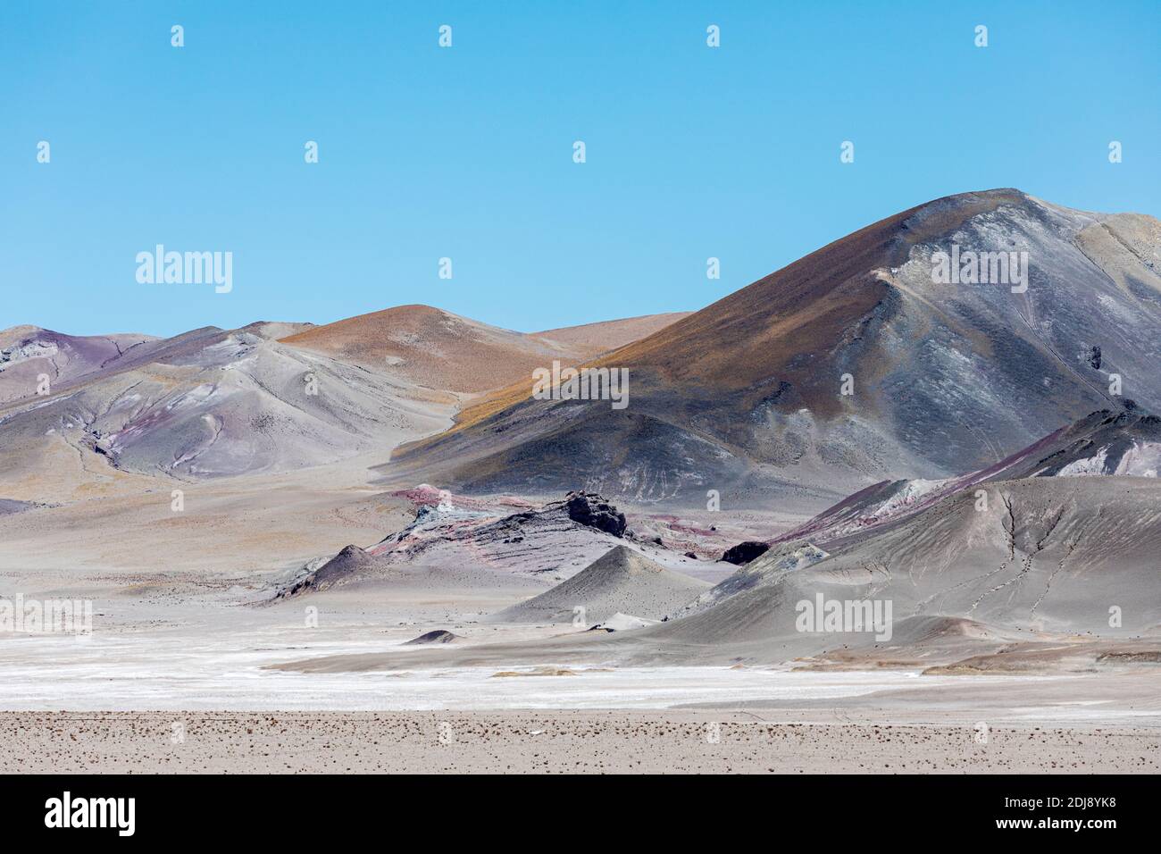 Zona vicino al confine argentino con il Cile nella zona vulcanica centrale andina, regione Antofagasta, Cile. Foto Stock