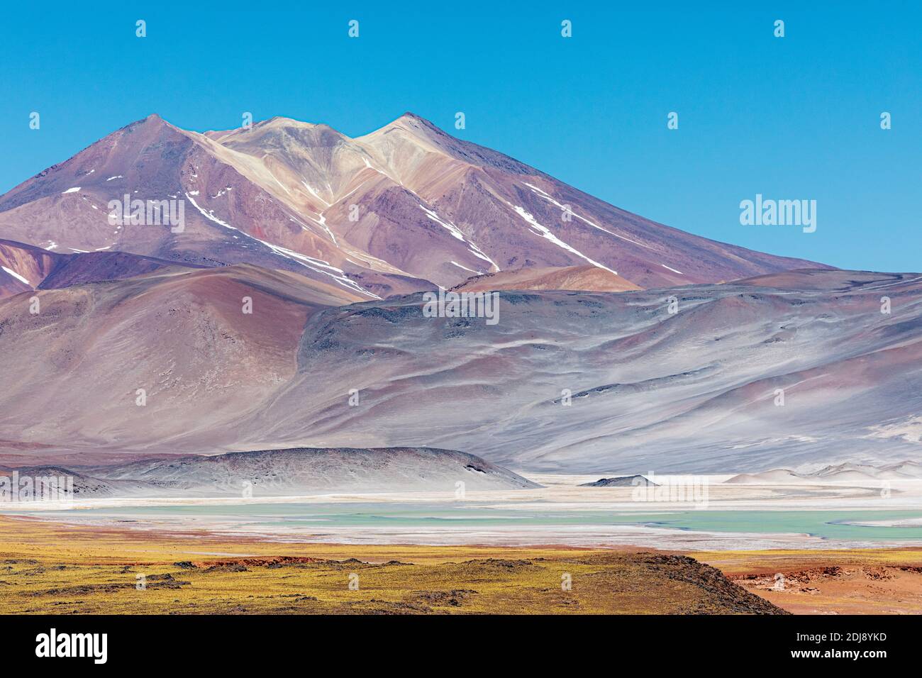 Salar de Aguas Calientes, Los Flamencos National Reserve, Antofagasta Regione, Cile. Foto Stock