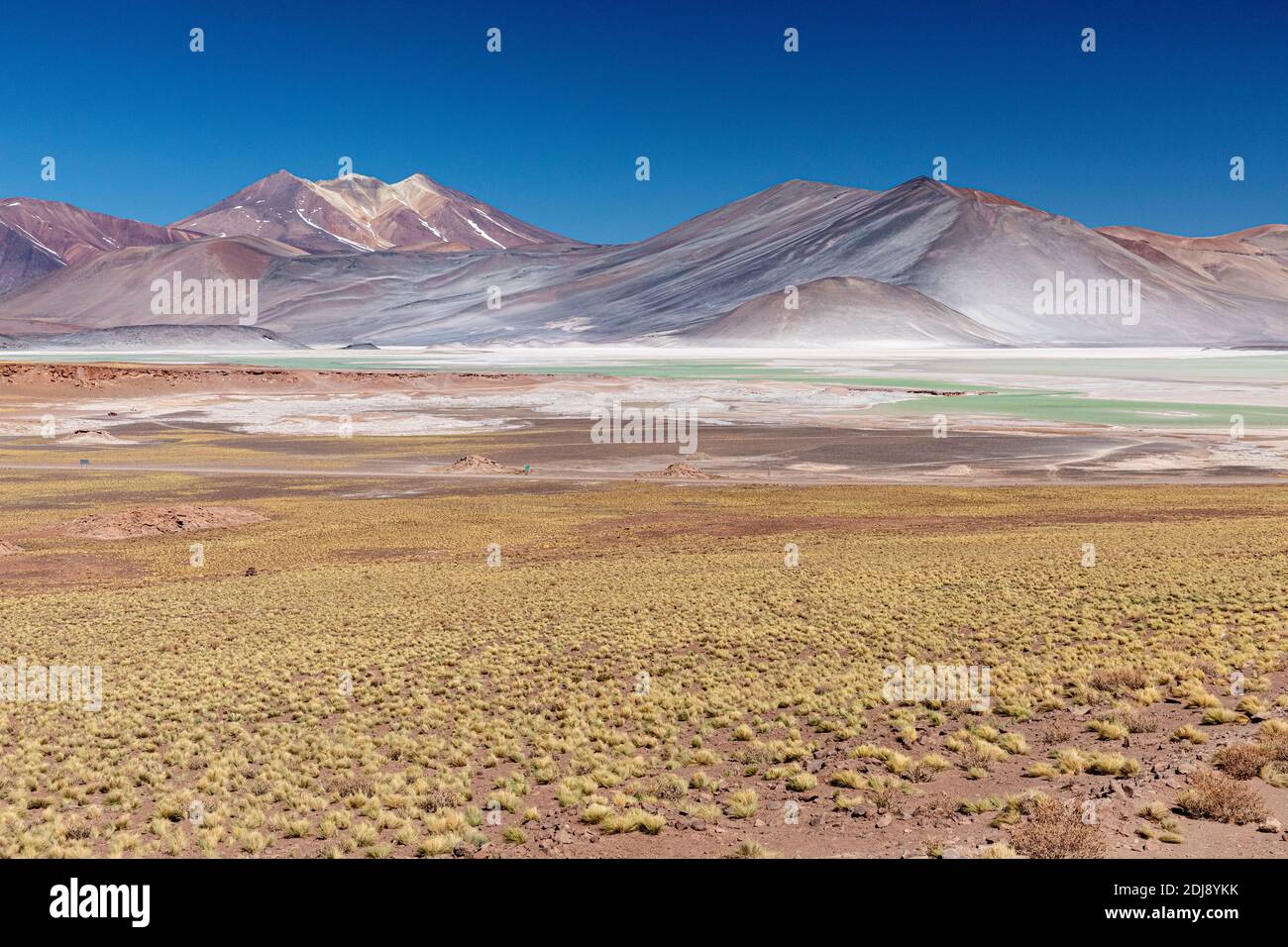 Salar de Aguas Calientes, Los Flamencos National Reserve, Antofagasta Regione, Cile. Foto Stock