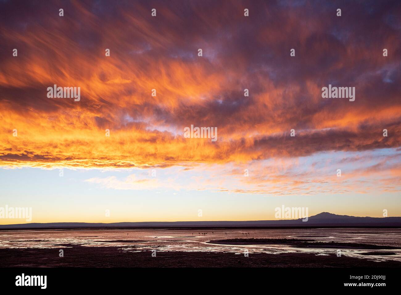 Tramonto a Llano de Solaren, Los Flamencos National Reserve, Antofagasta Regione, Cile. Foto Stock