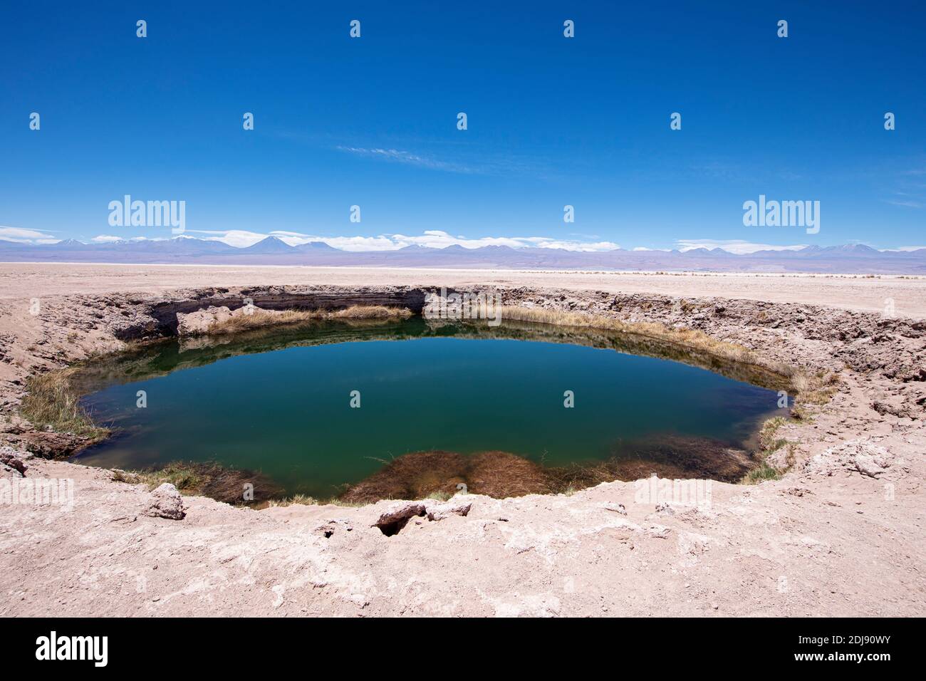 Un piccolo pozzo inondato nel Salar de Atacama, Los Flamencos National Reserve, Cile. Foto Stock